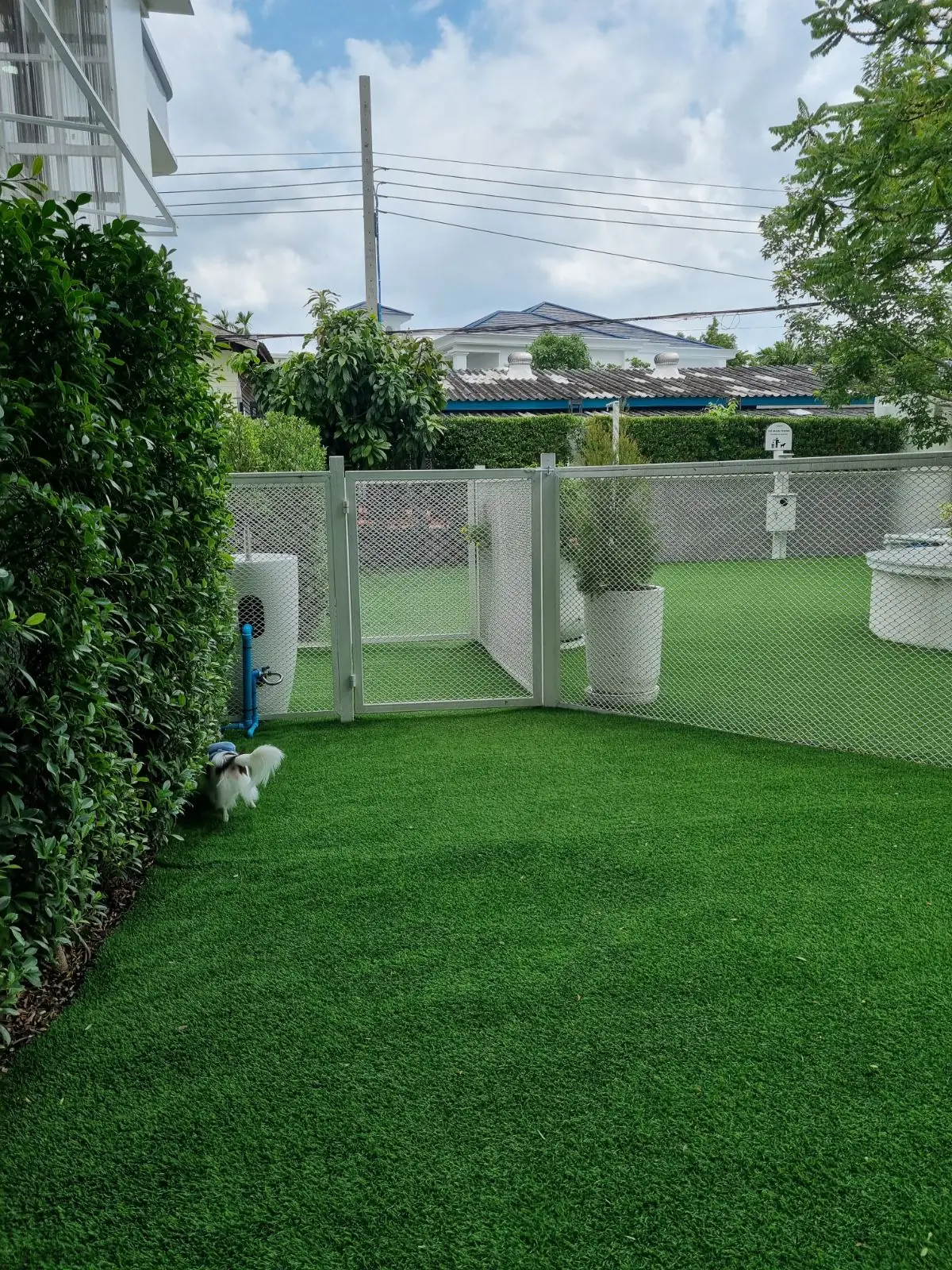 Pawsome Space other image 4