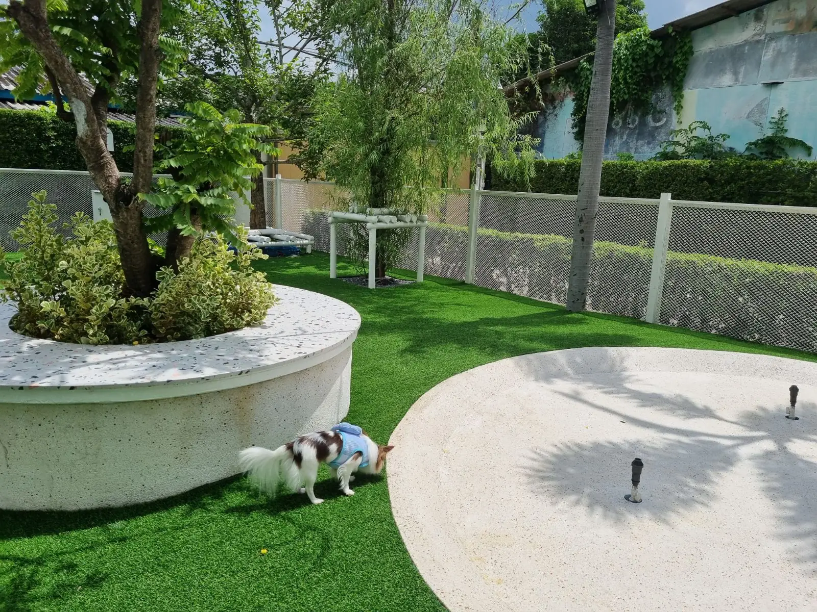 Pawsome Space other image 1