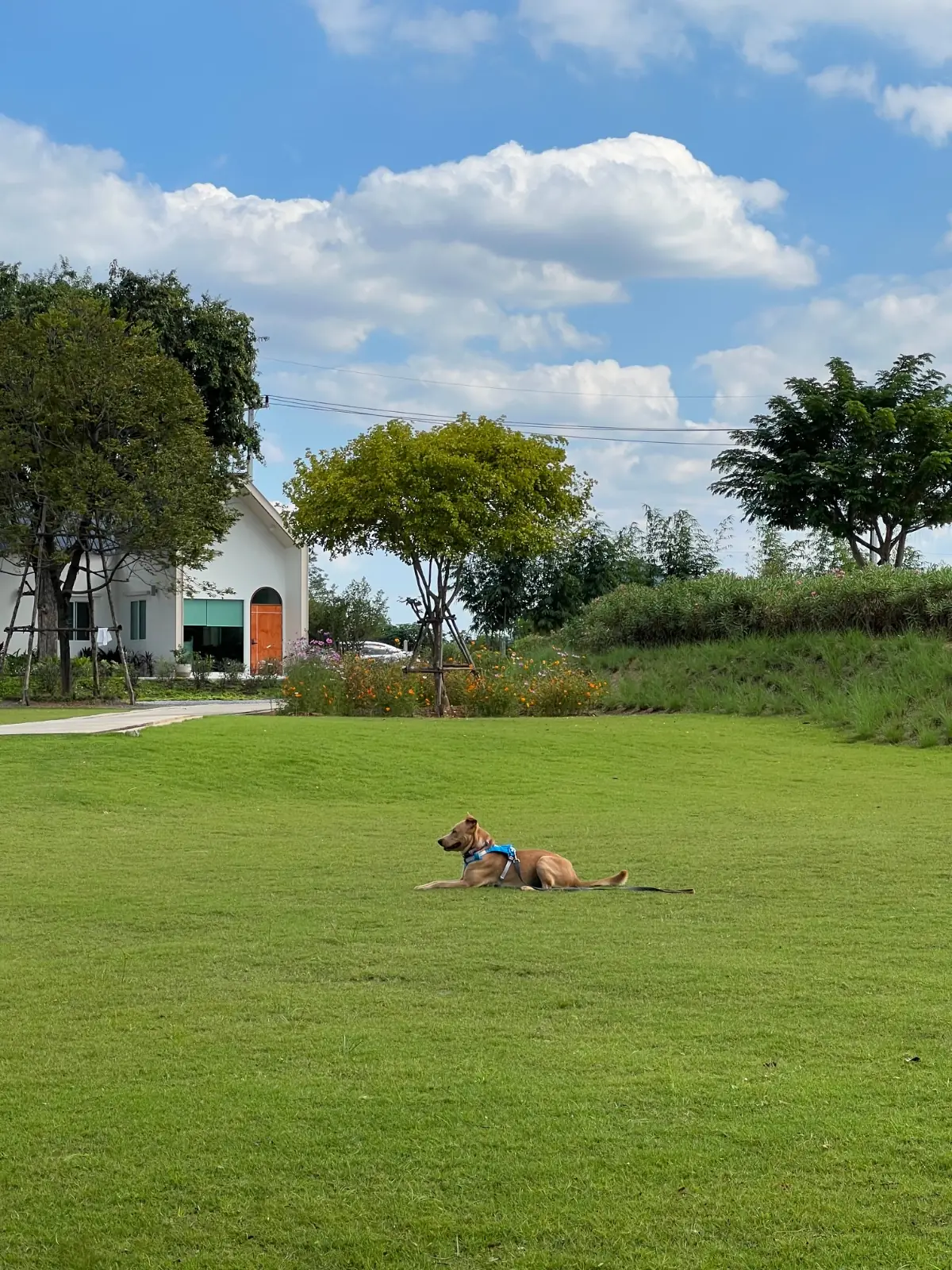 นนน คาเฟ่ overall image 6