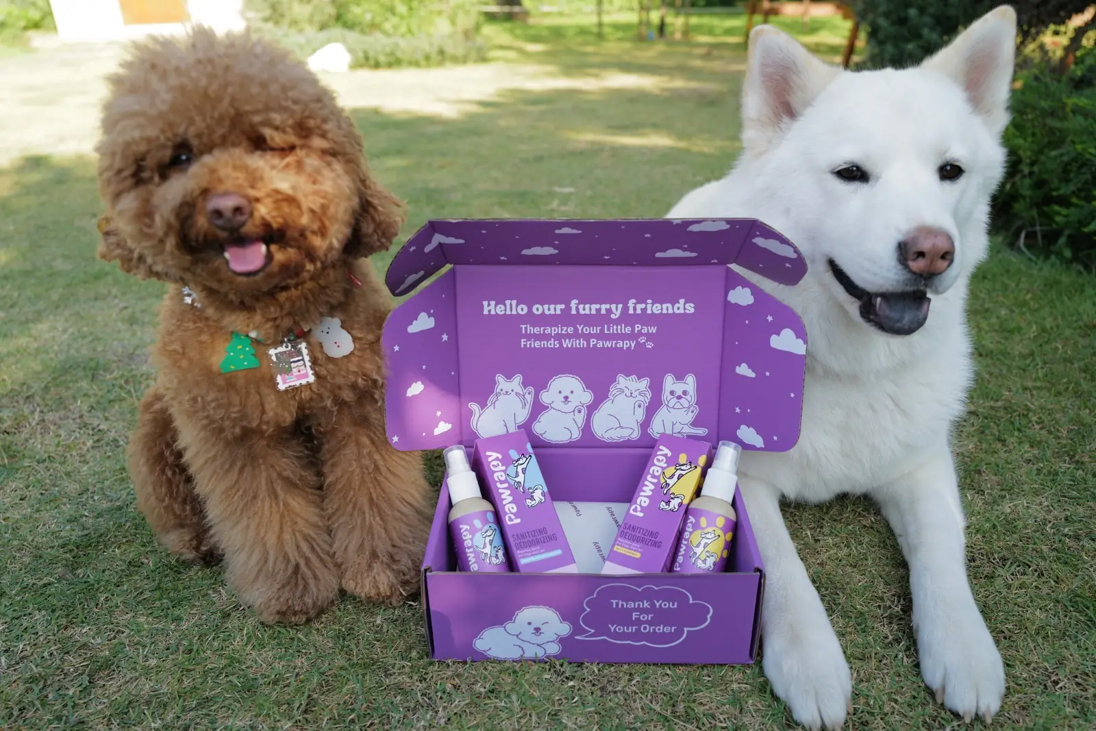 Mallorka khaoyai pets image 2