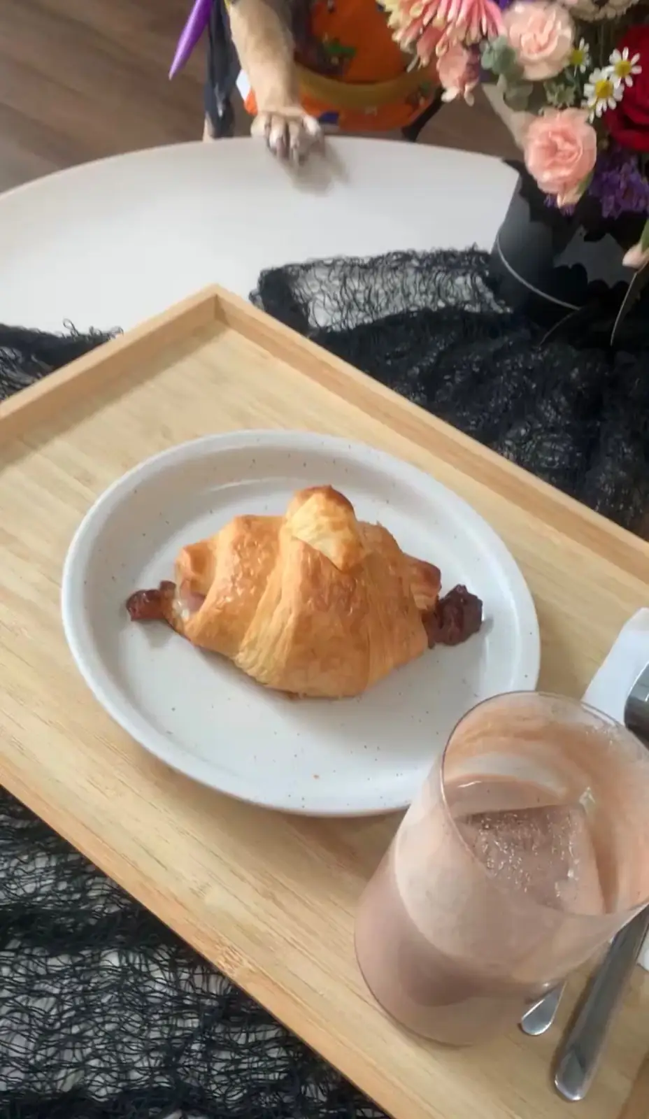 Hoya & friends food image 2