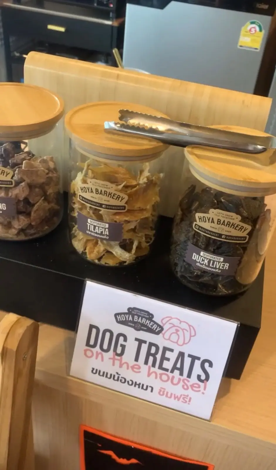 Hoya & friends other image 1