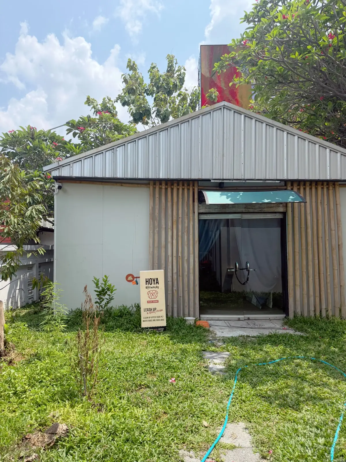 Hoya & friends Café overall image 3