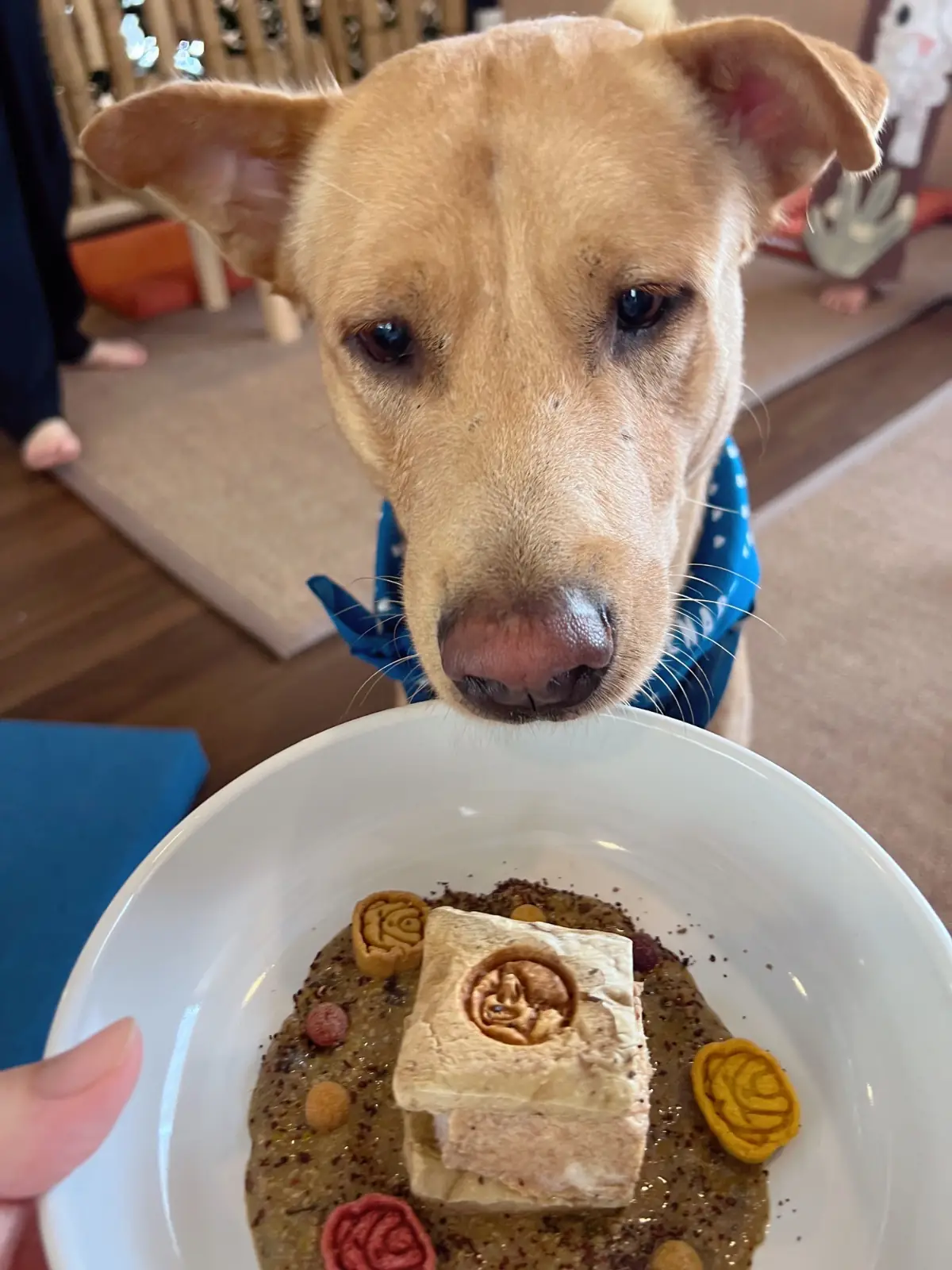 Hoya & friends Café food image 3