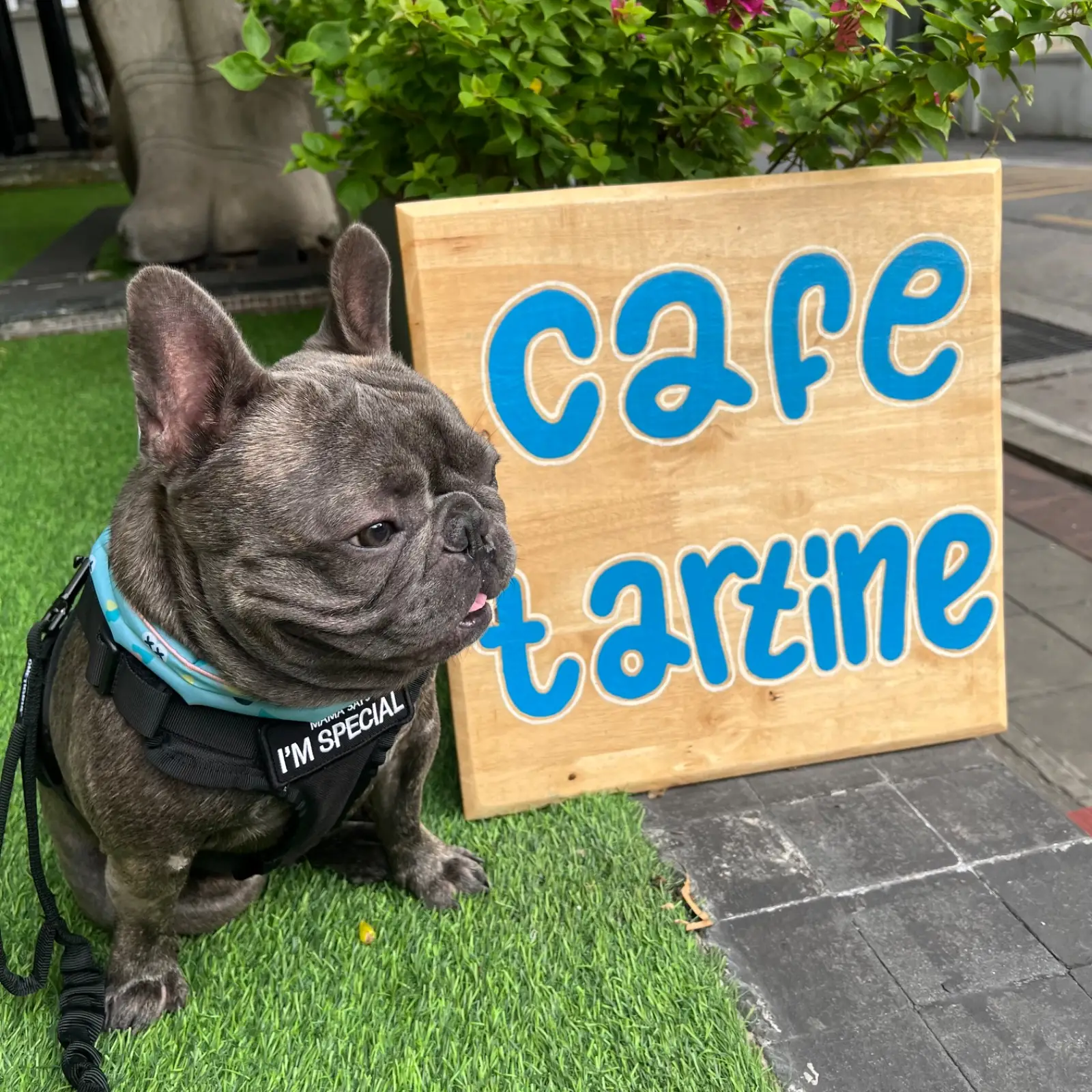 Café Tartine other image 1