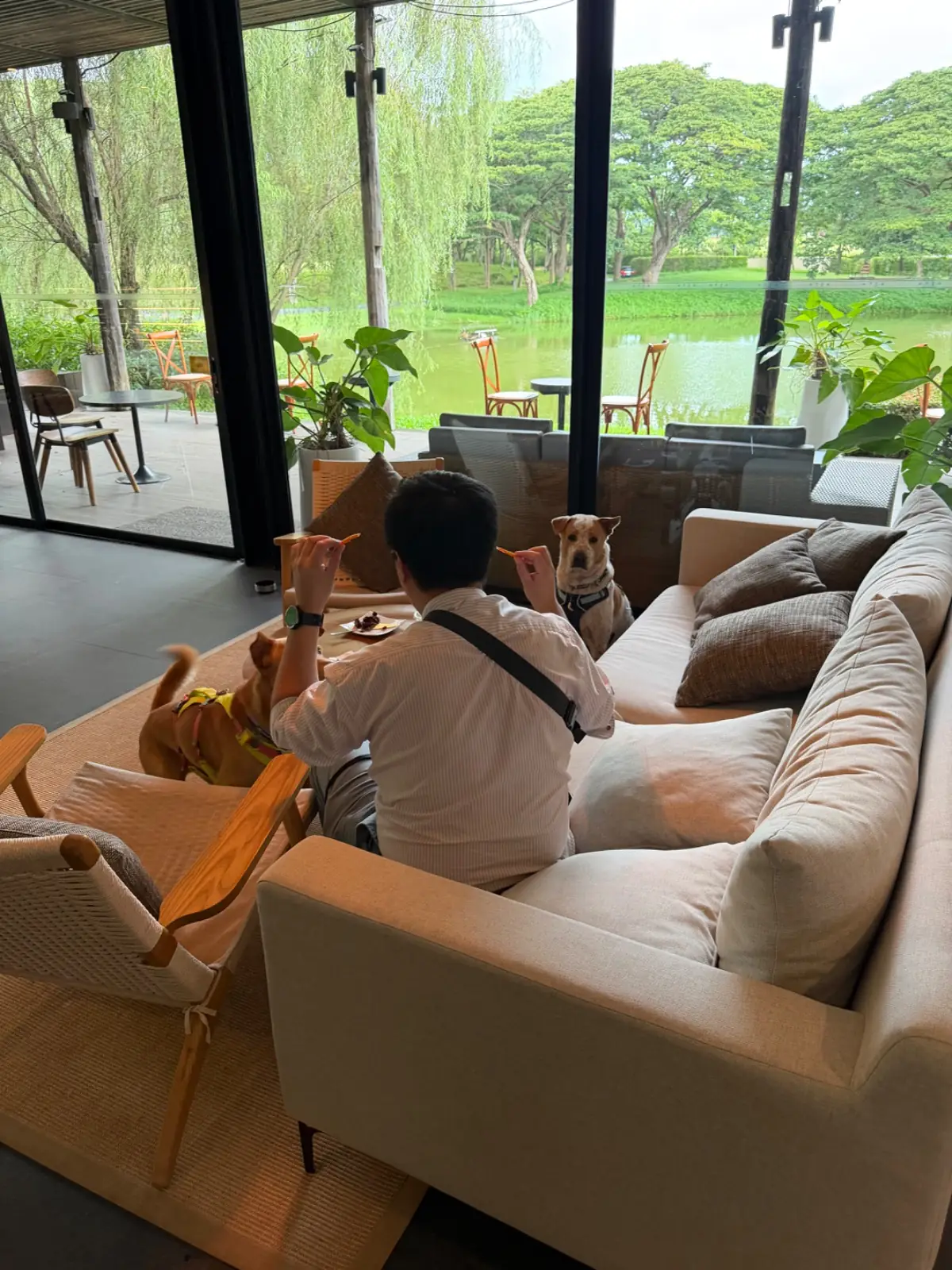 The Gallery & Cafe ambiance image 1