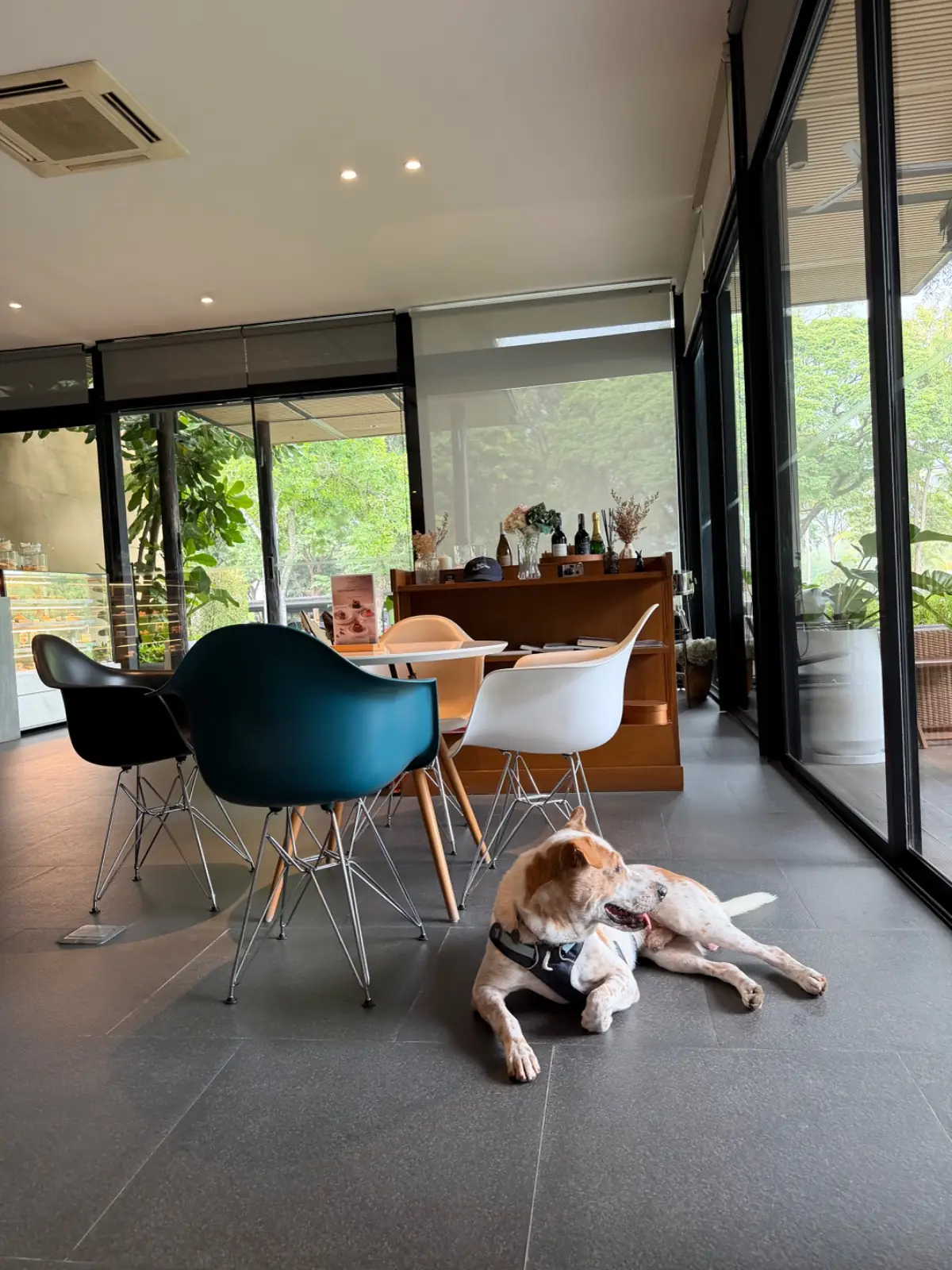 The Gallery & Cafe ambiance image 2