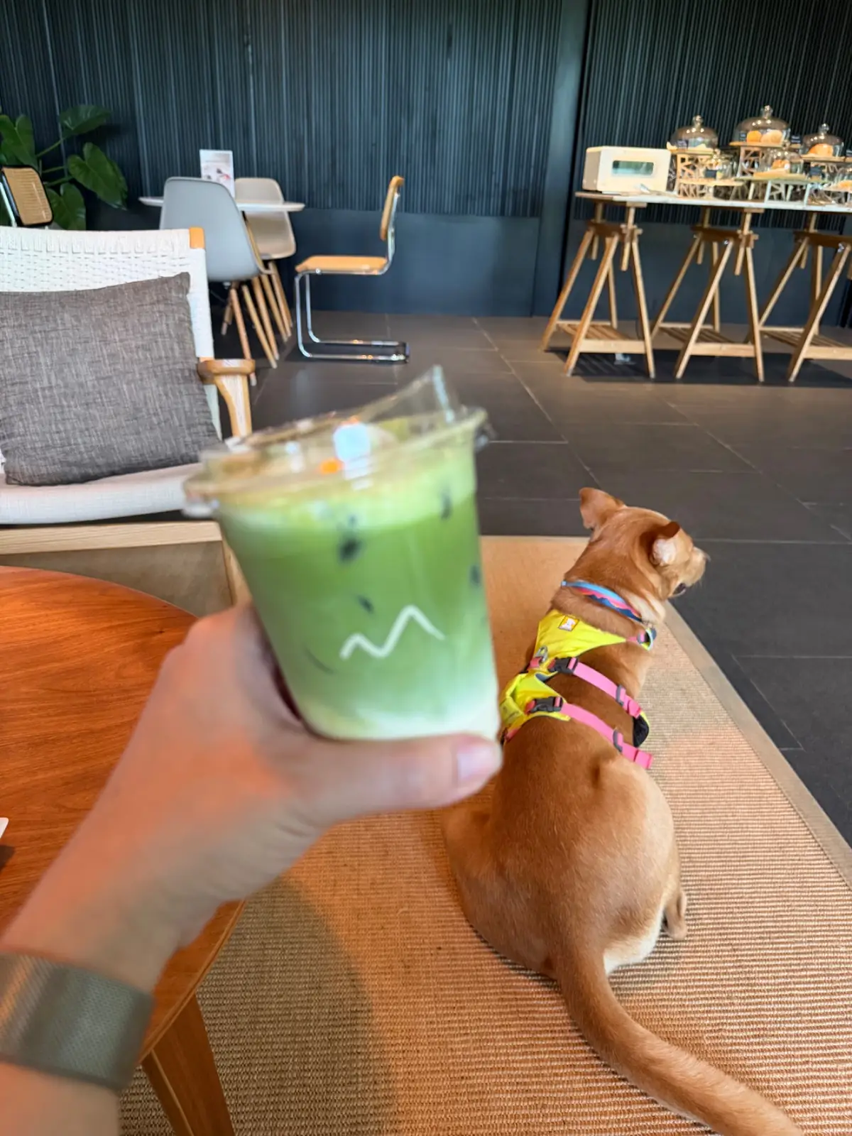 The Gallery & Cafe other image 1