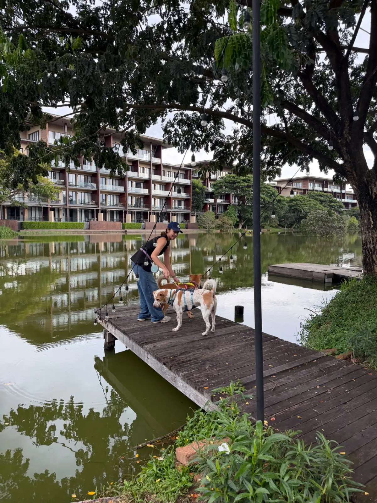 The Gallery & Cafe pets image 2