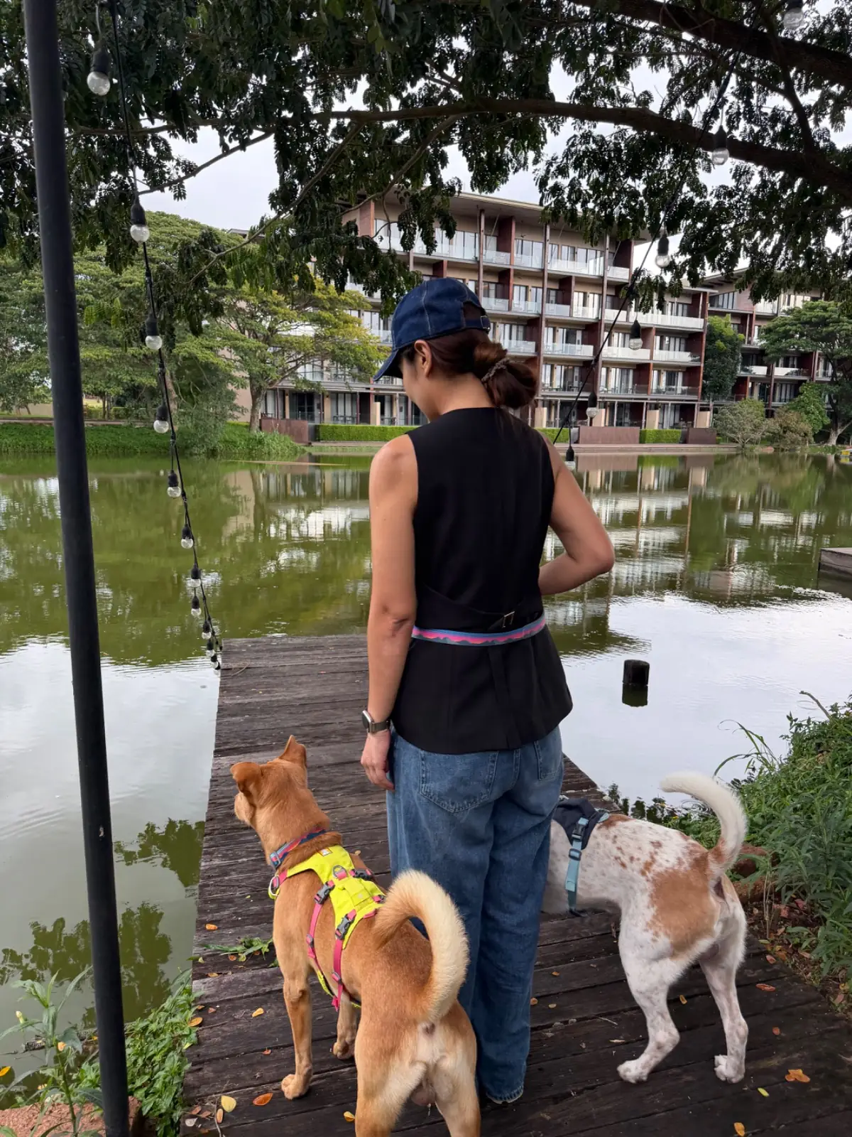 The Gallery & Cafe pets image 1