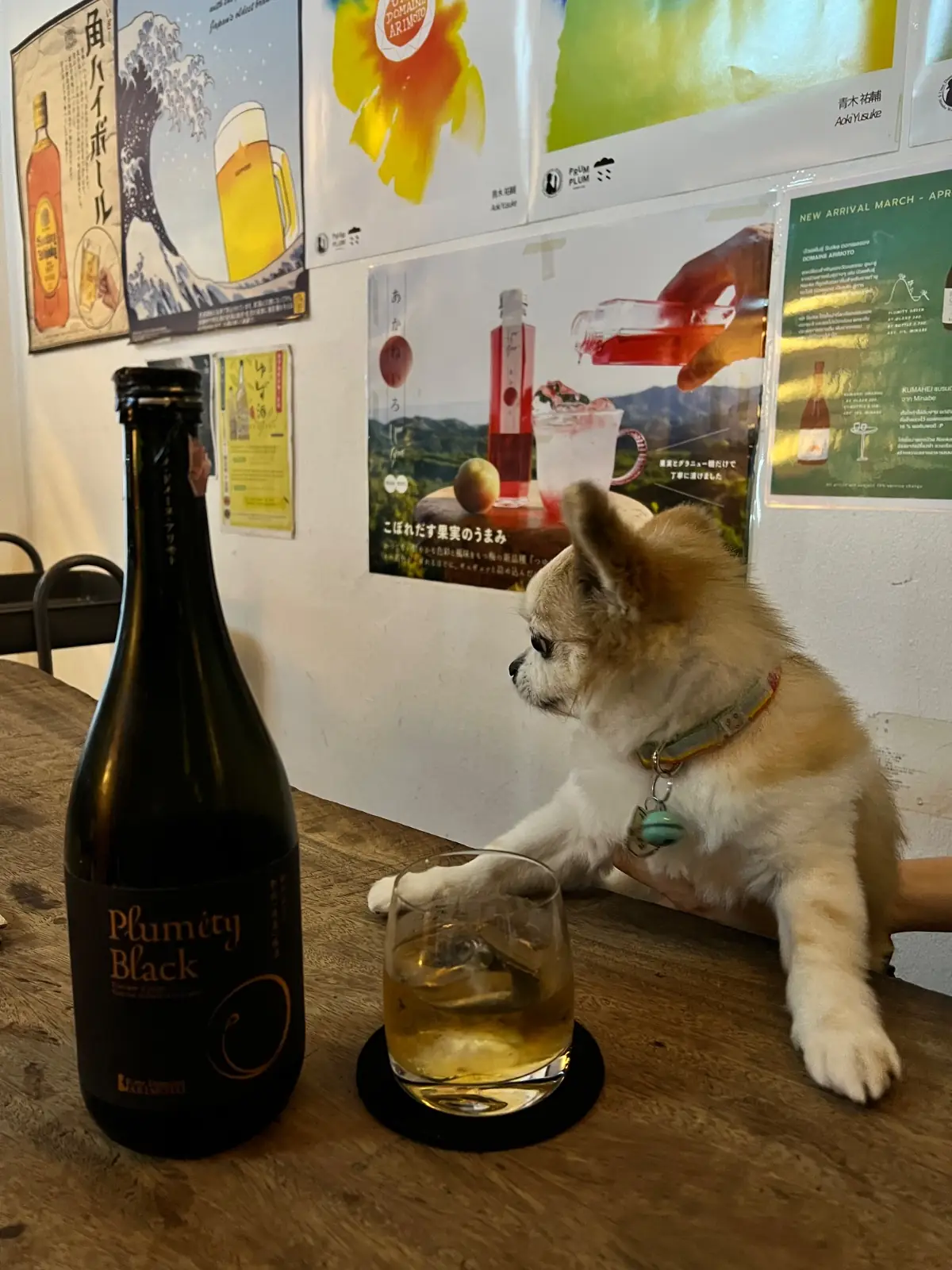 PrumPlum Umeshu Bar&Bistro other image 1