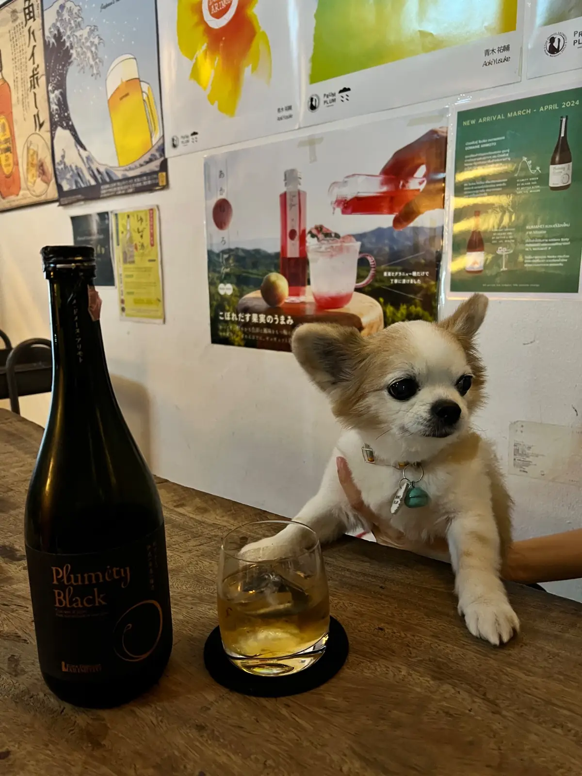 PrumPlum Umeshu Bar&Bistro other image 2