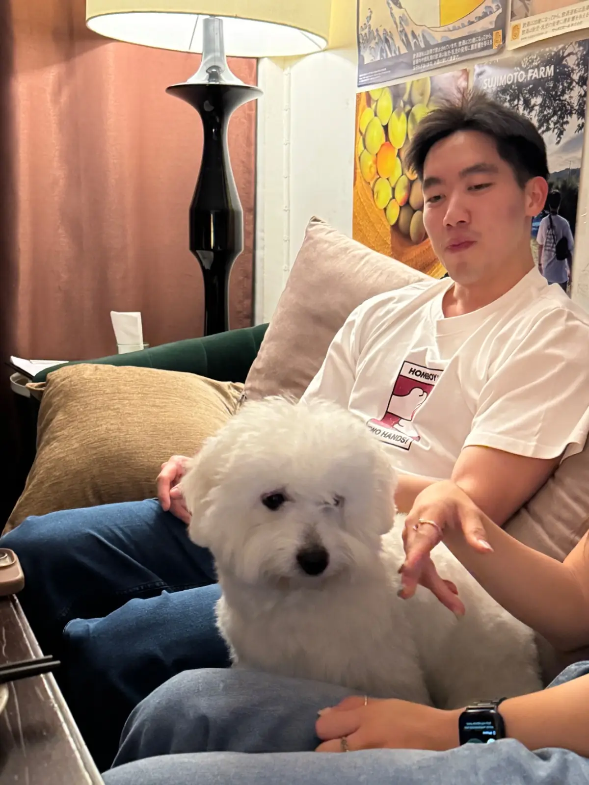 พรำพลัม อุเมะชู บาร์ pets image 2