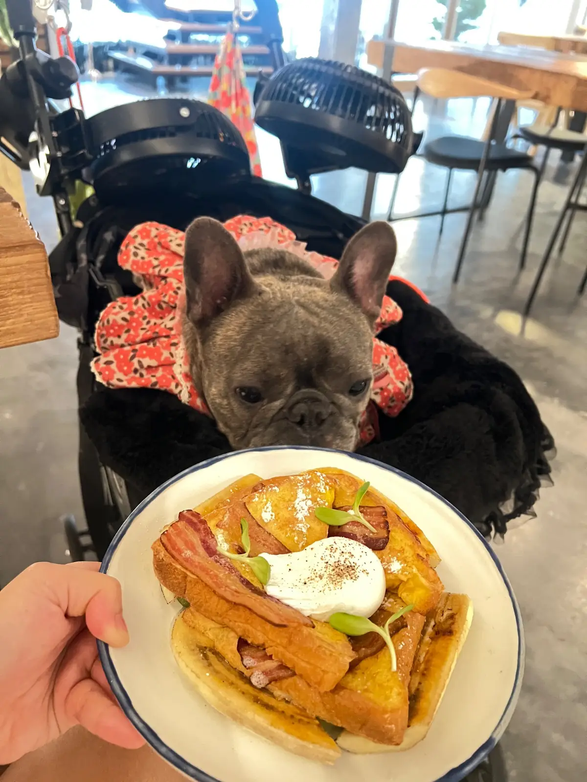 Luka Sukhumvit 31 other image 3