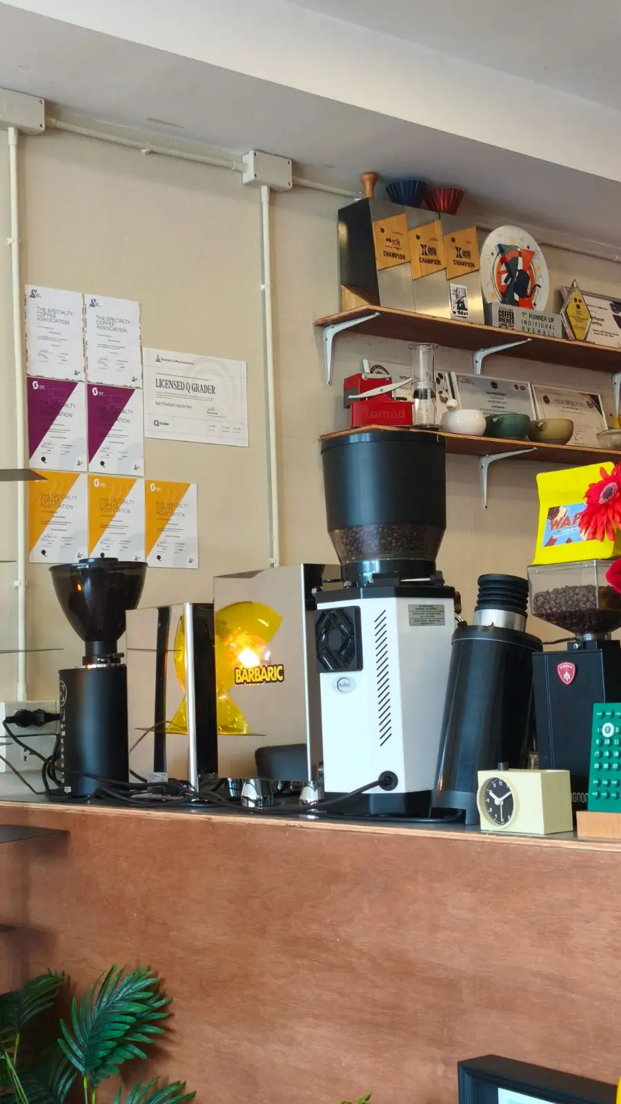 Barbaric Coffee overall image 6