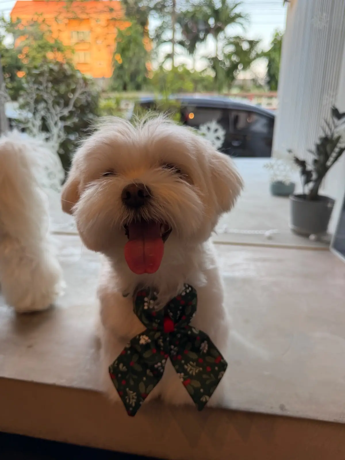 CMD Salaya other image 1