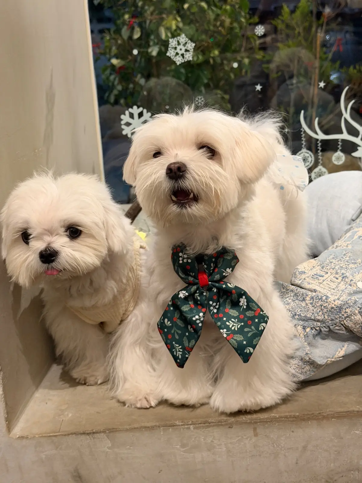 CMD Salaya other image 2