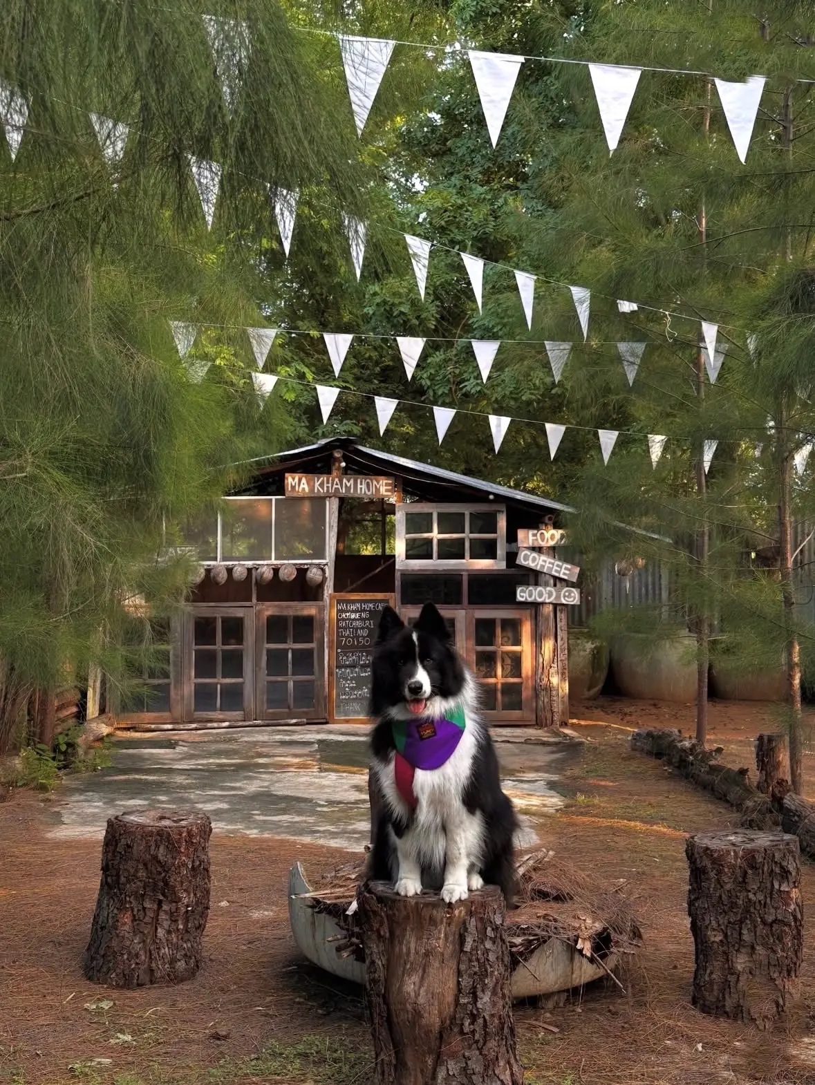 Ma-Kham Home Cafe pets image 1