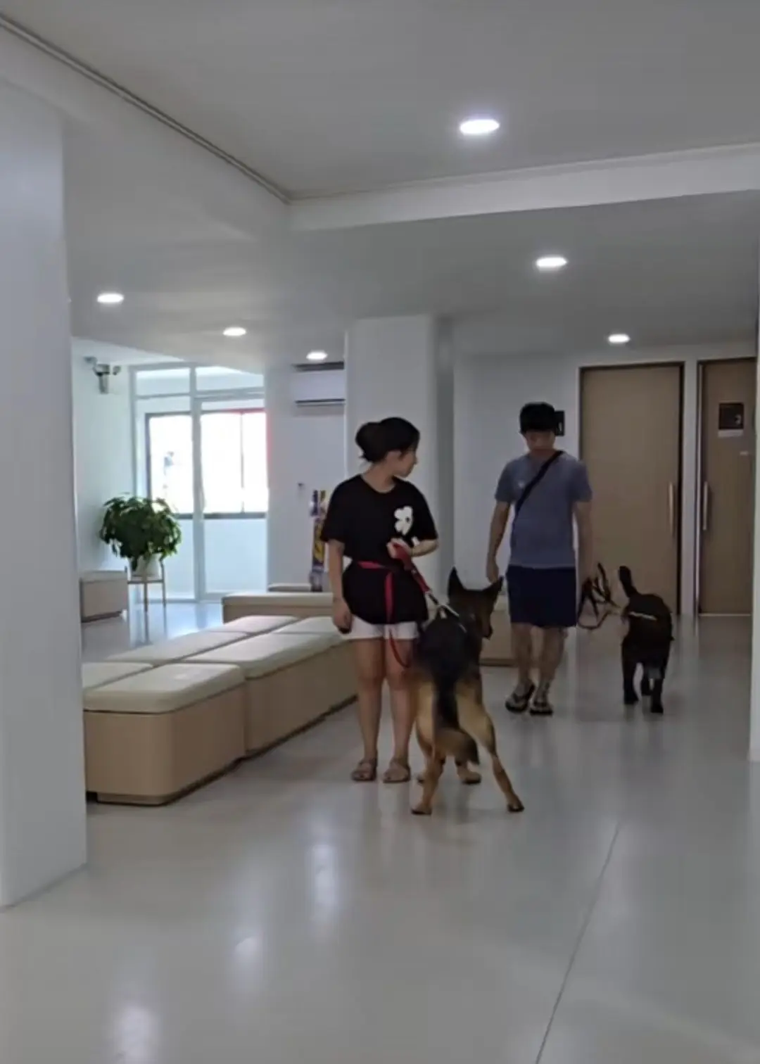 สัตวแพทย์ 4 - ศรีนครินทร์ pets image 1