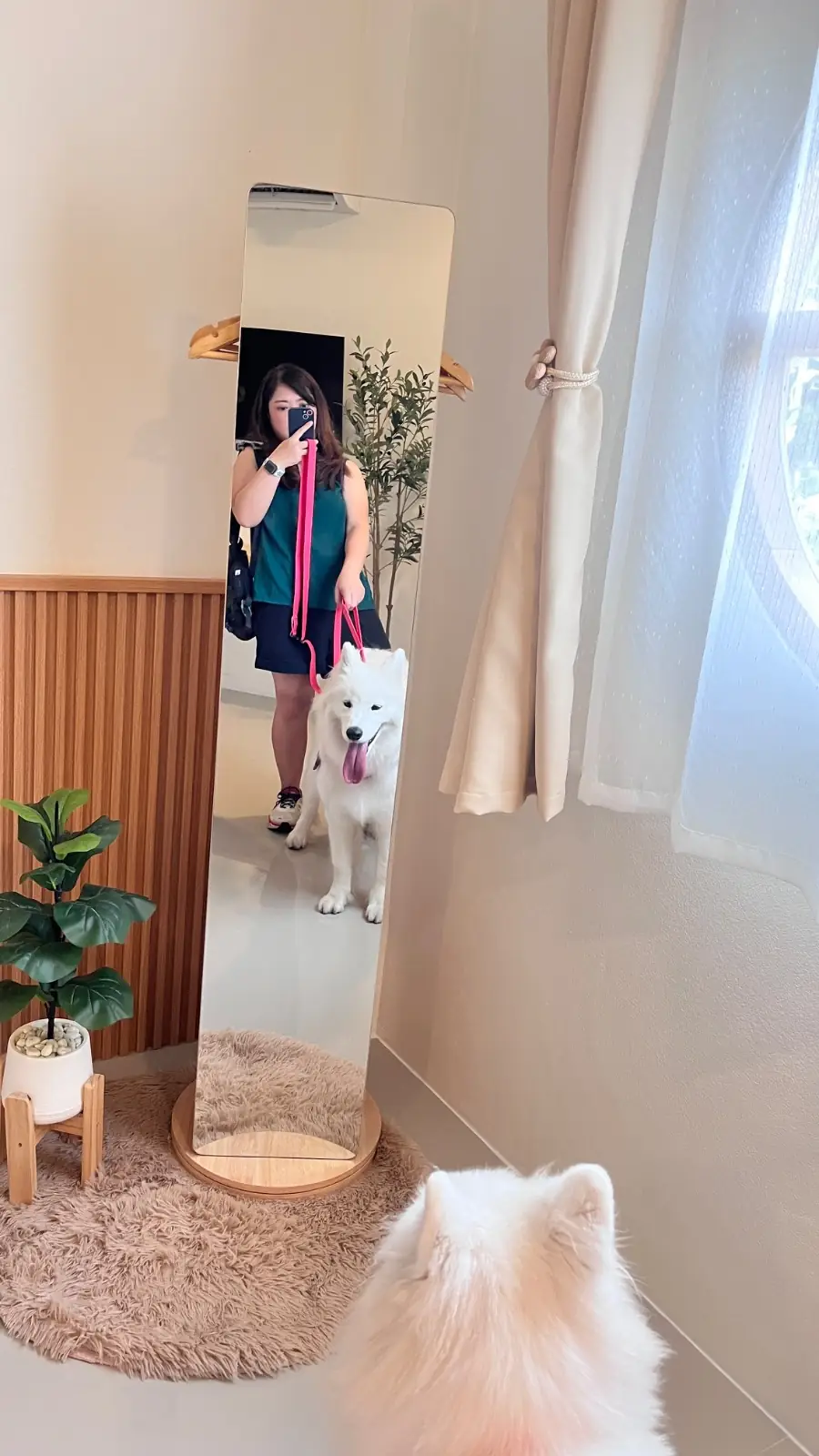 23rd April Resort pets image 1
