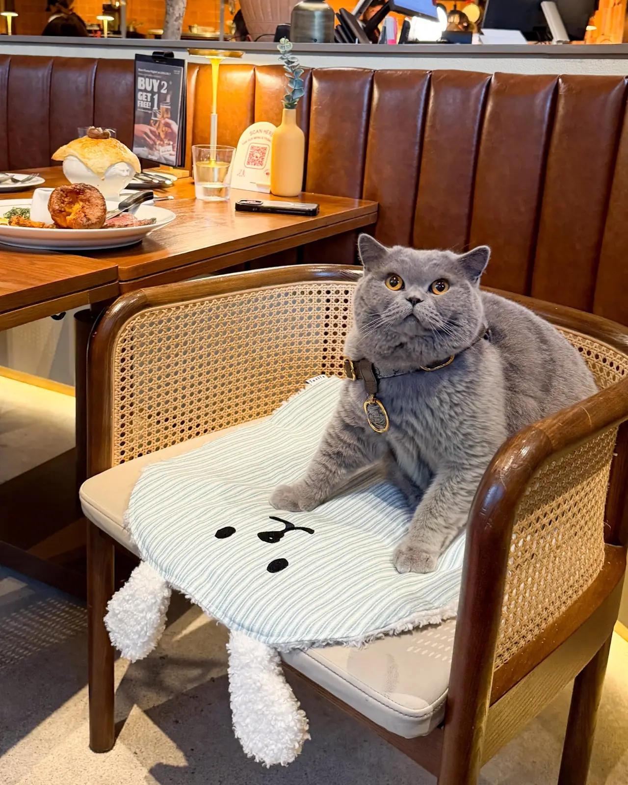 COUCOU - The Flavorhood pets image 1