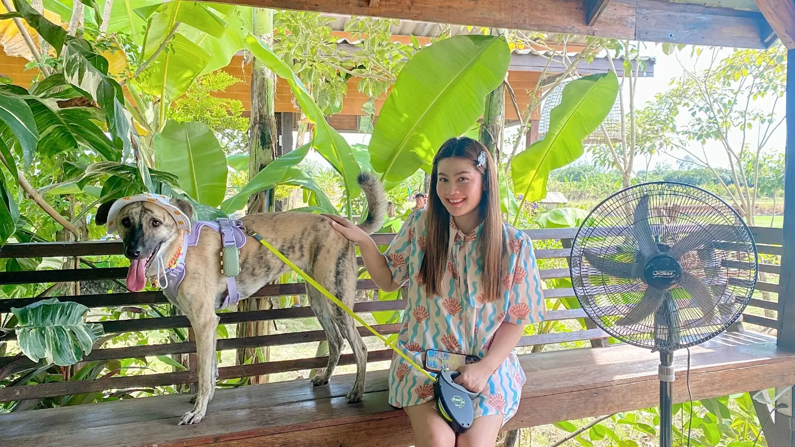 บ้านบิ๊กหรั่ง banbigrang pets image 1