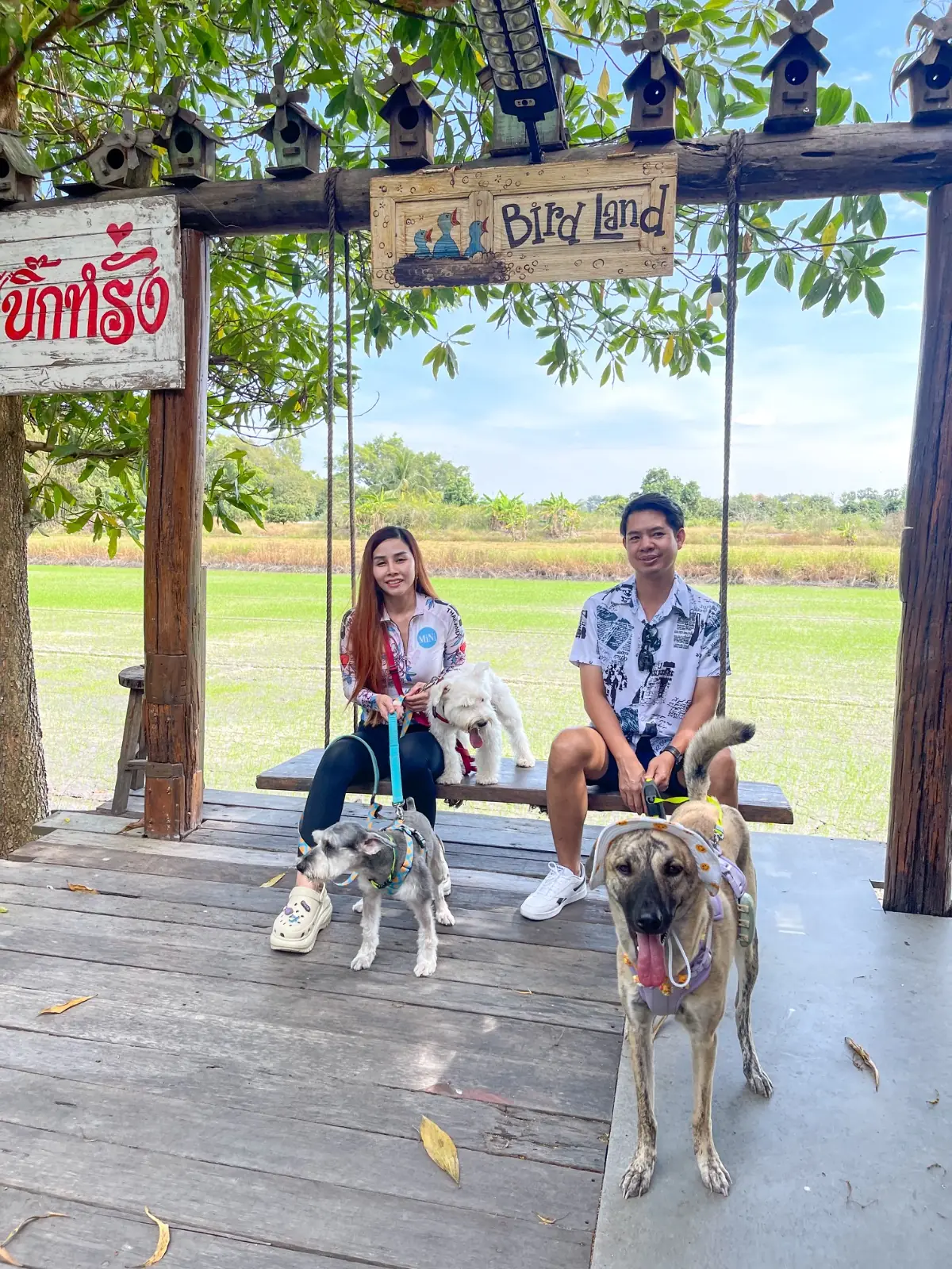 บ้านบิ๊กหรั่ง banbigrang pets image 2