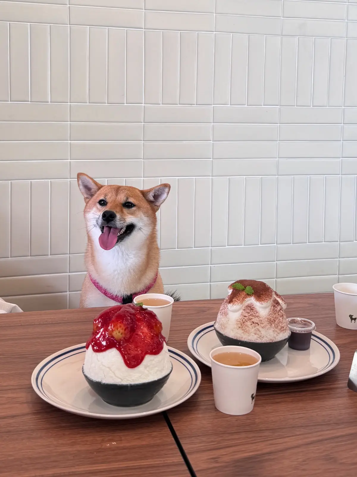 After You Dessert Cafe - Parc Bangna pets image 3