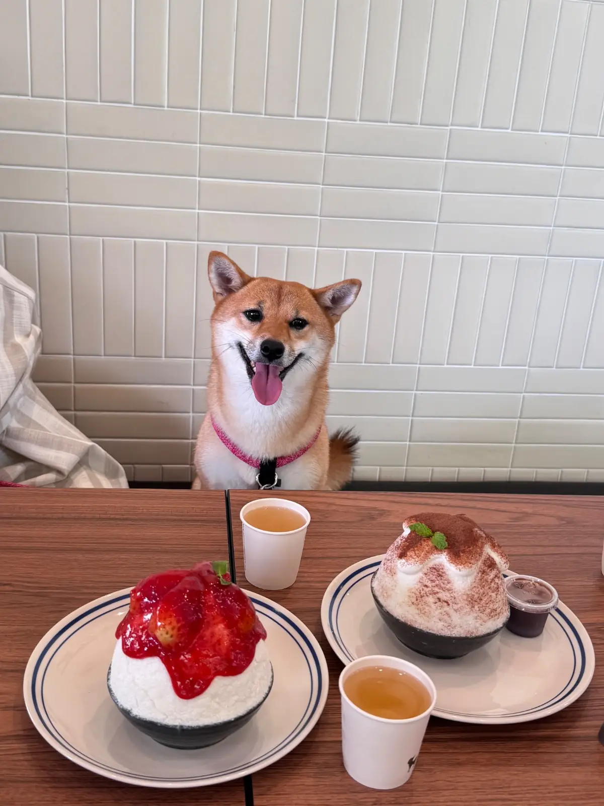 After You Dessert Cafe - Parc Bangna pets image 1