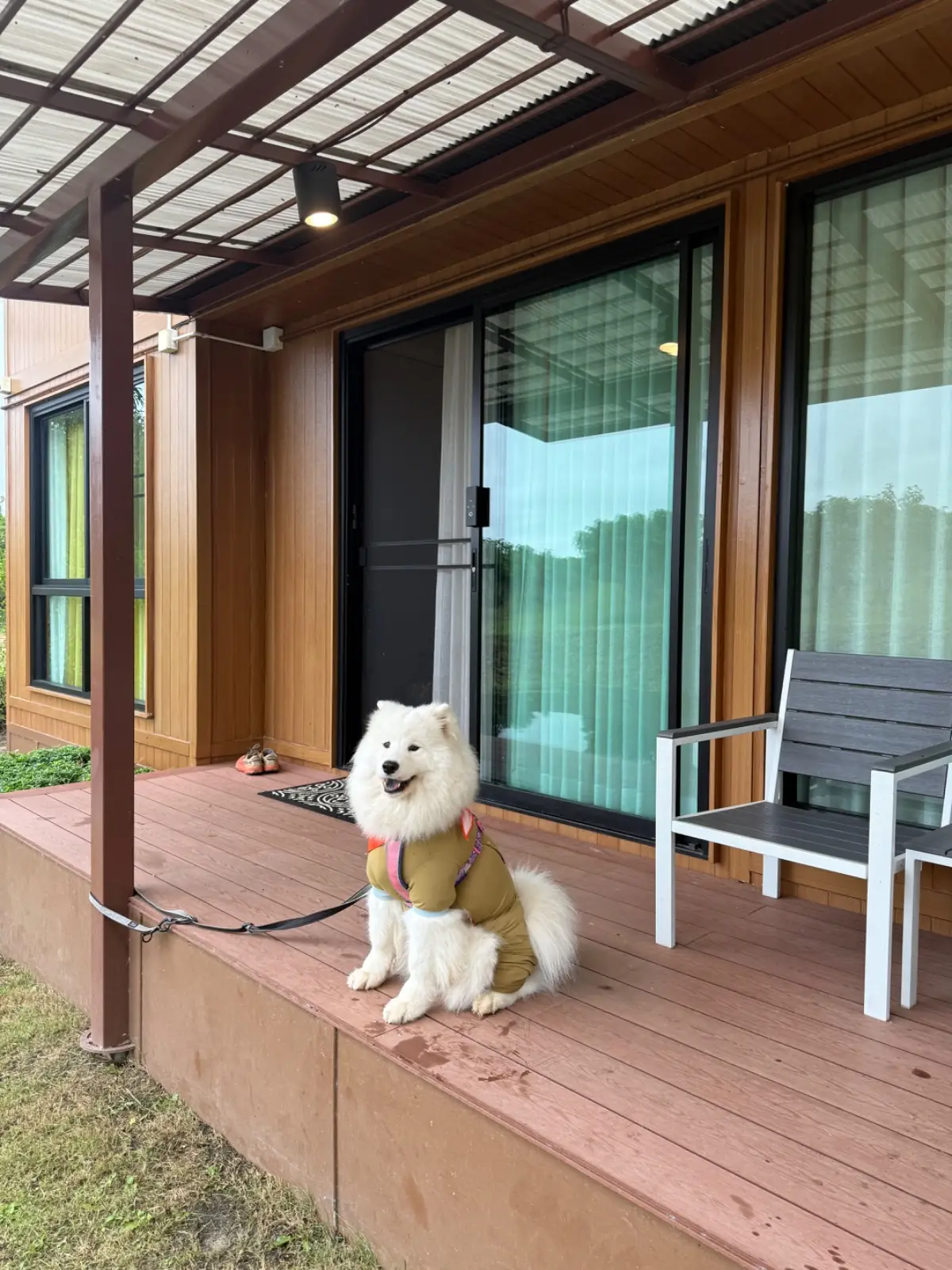 บ้านจันทร์ประดับ เขาใหญ่ pets image 1