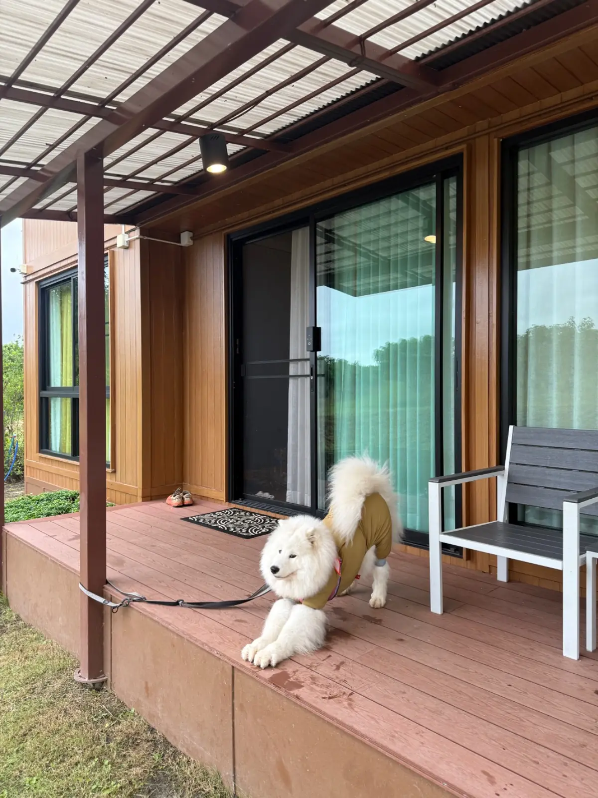 บ้านจันทร์ประดับ เขาใหญ่ pets image 2