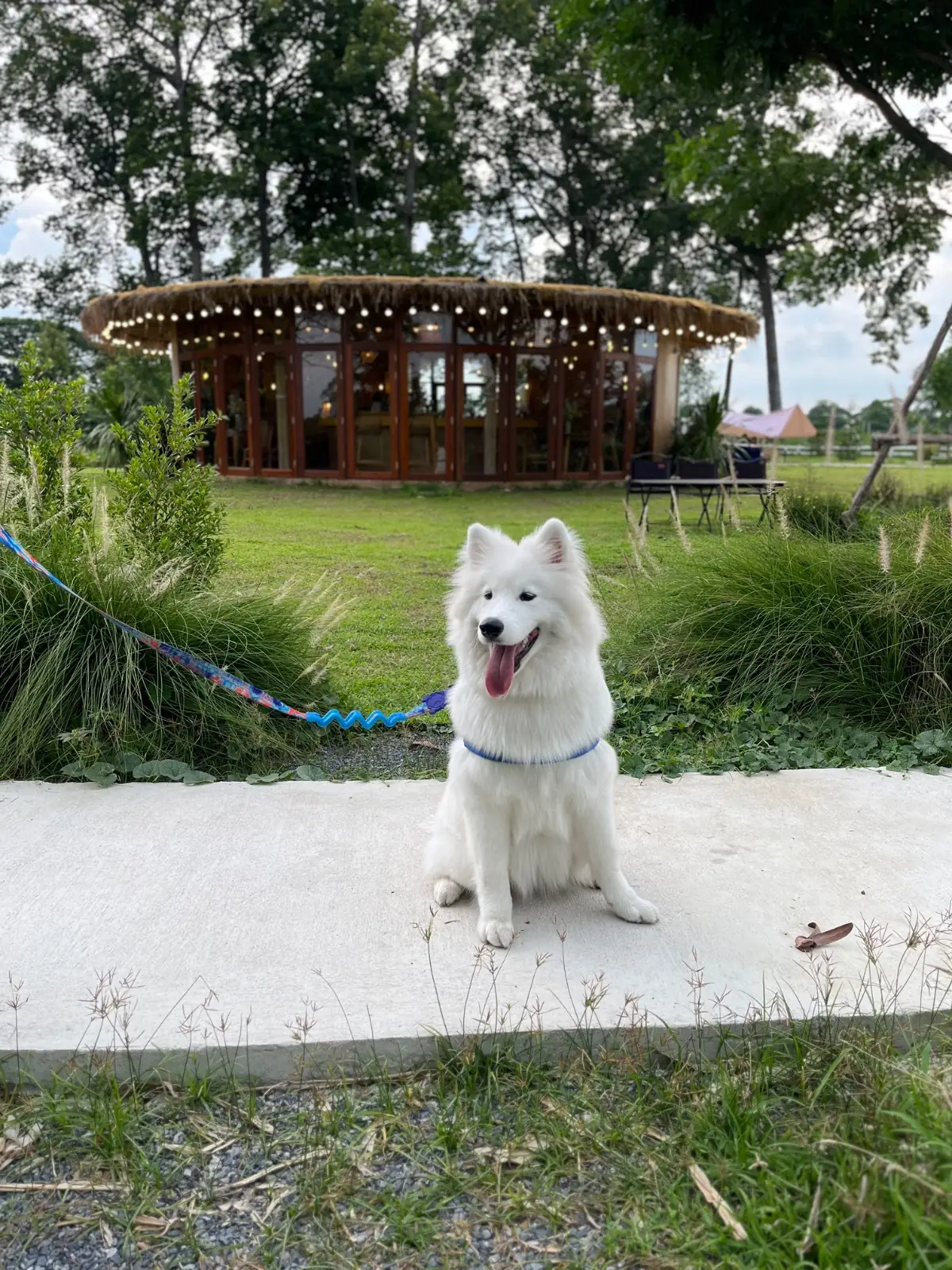 24 เอ.เอ็ม แคมป์ปิ้ง - สระบุรี pets image 1