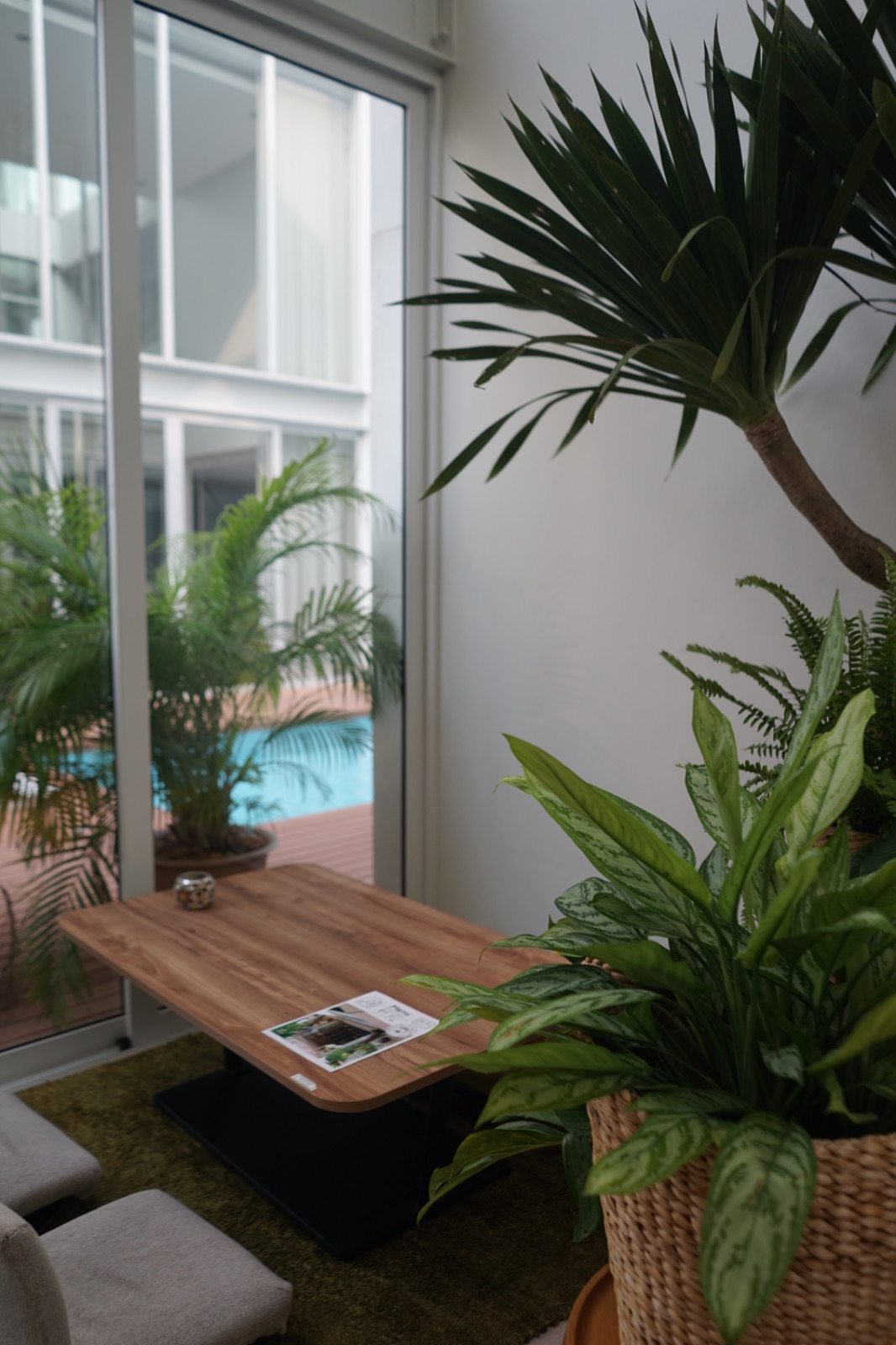 ไลท์ มินิท โฮม คาเฟ่ ambiance image 2