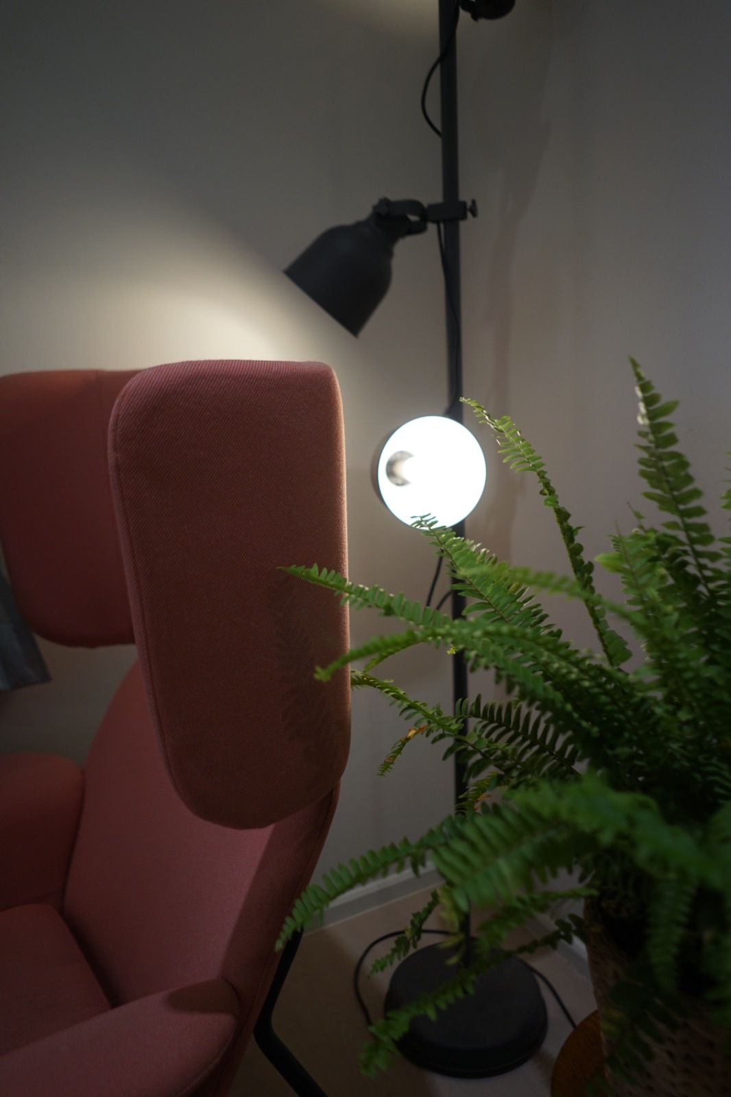 ไลท์ มินิท โฮม คาเฟ่ ambiance image 7