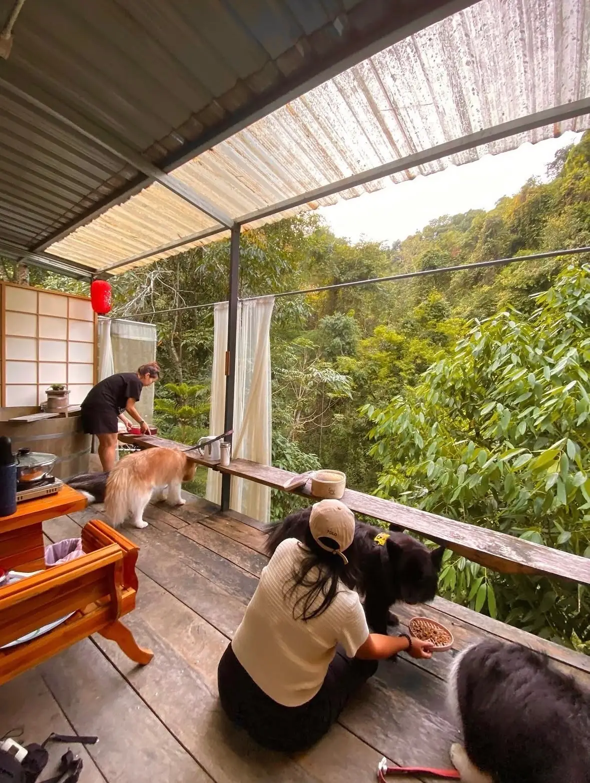 Shinrin-yoku Chiang Mai pets image 1