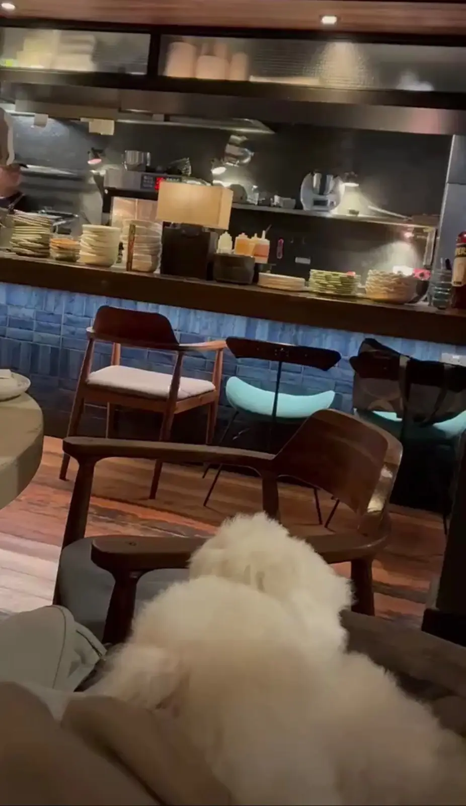 Tappo Wine Bar pets image 1