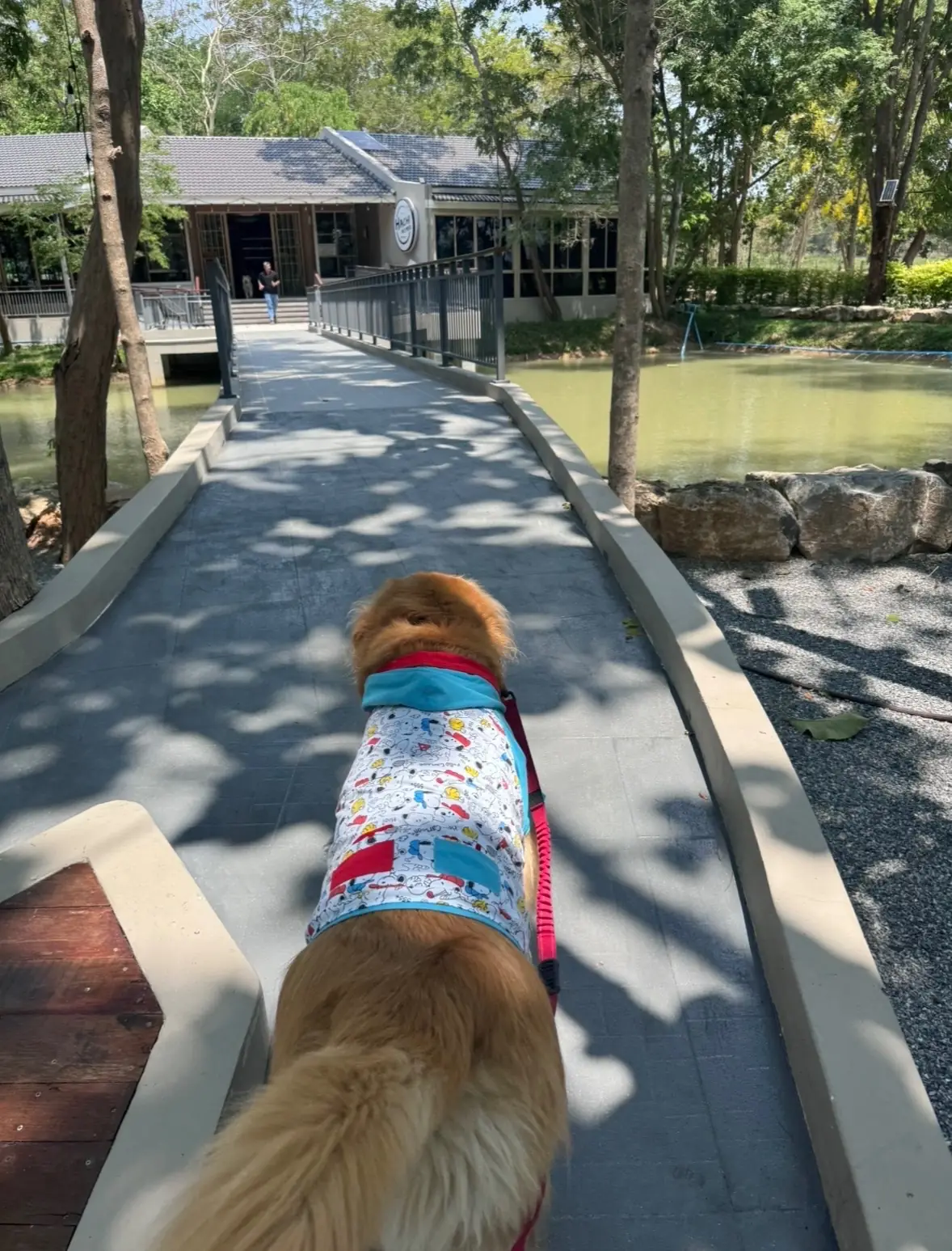 HACHI NO MISE pets image 1