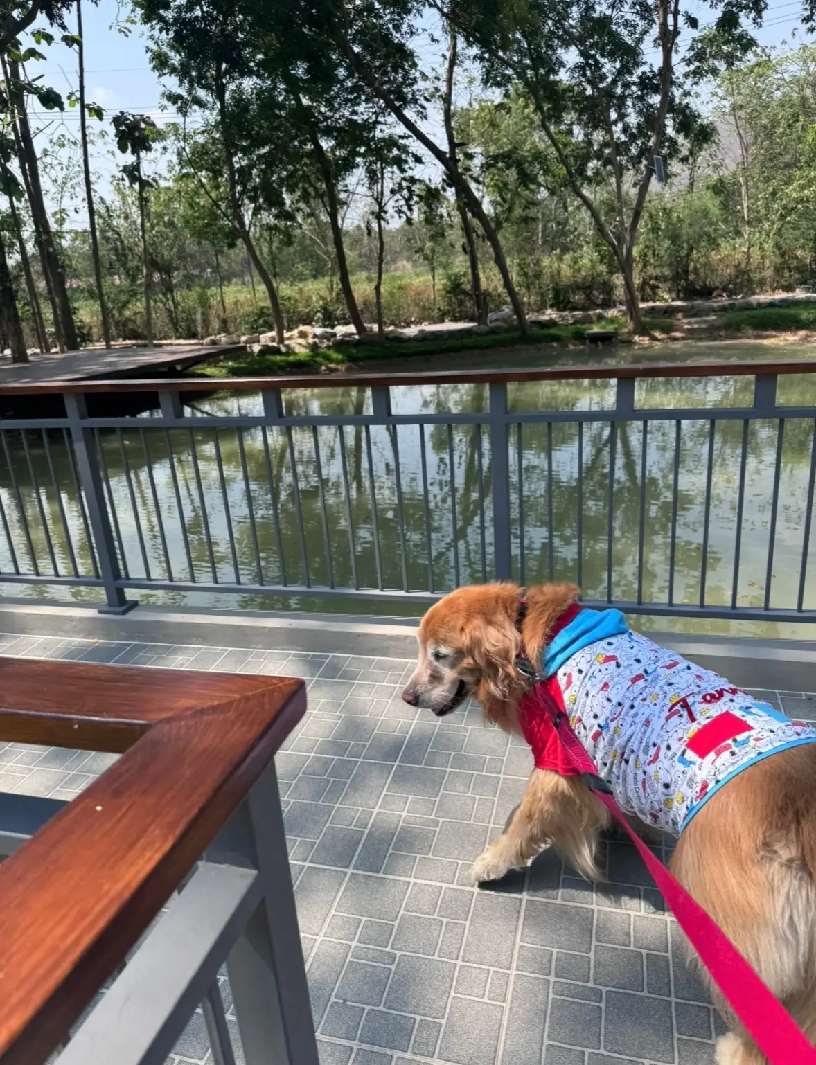 HACHI NO MISE pets image 2