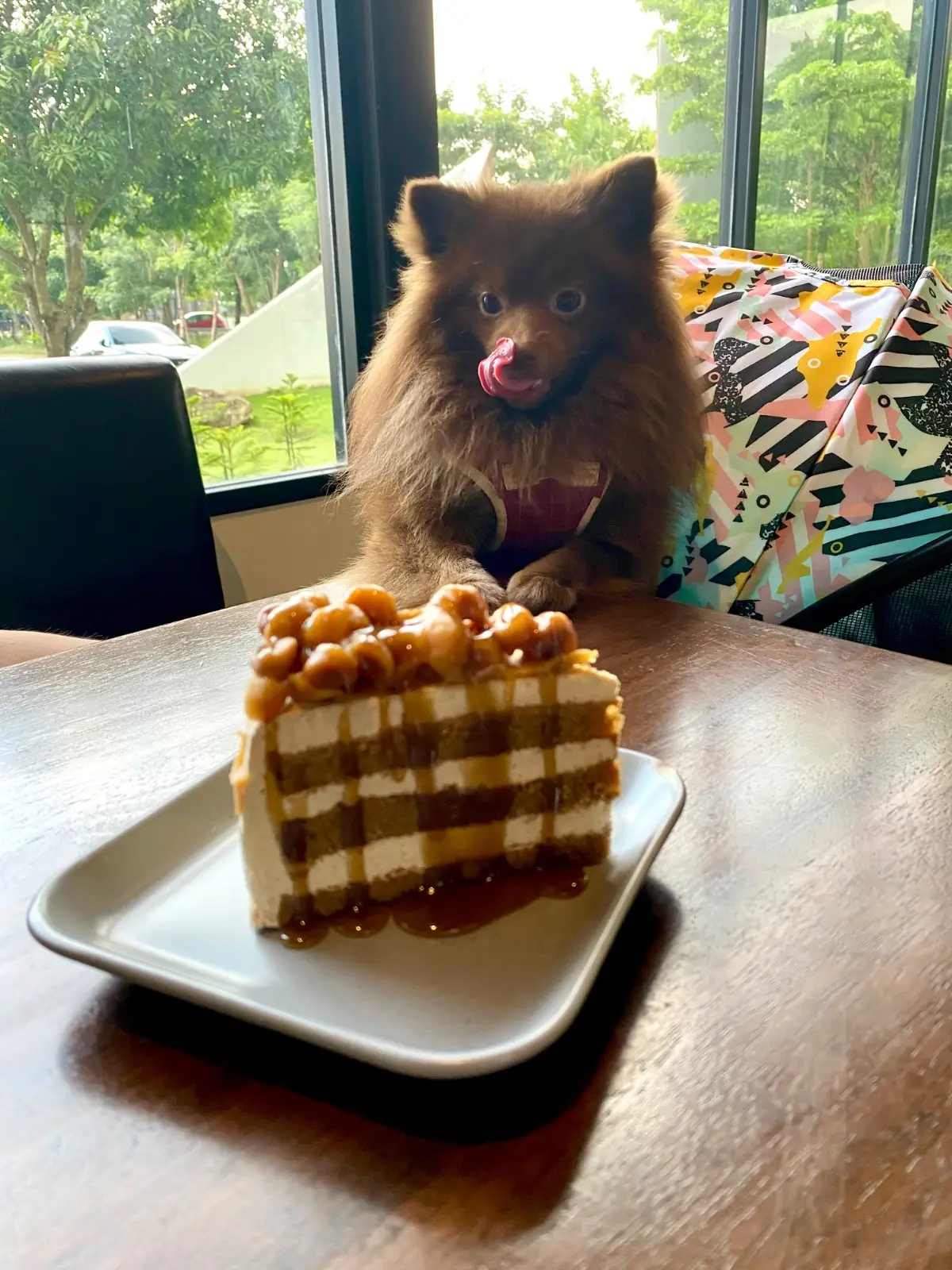 Hinghoy Harmony hero image 2