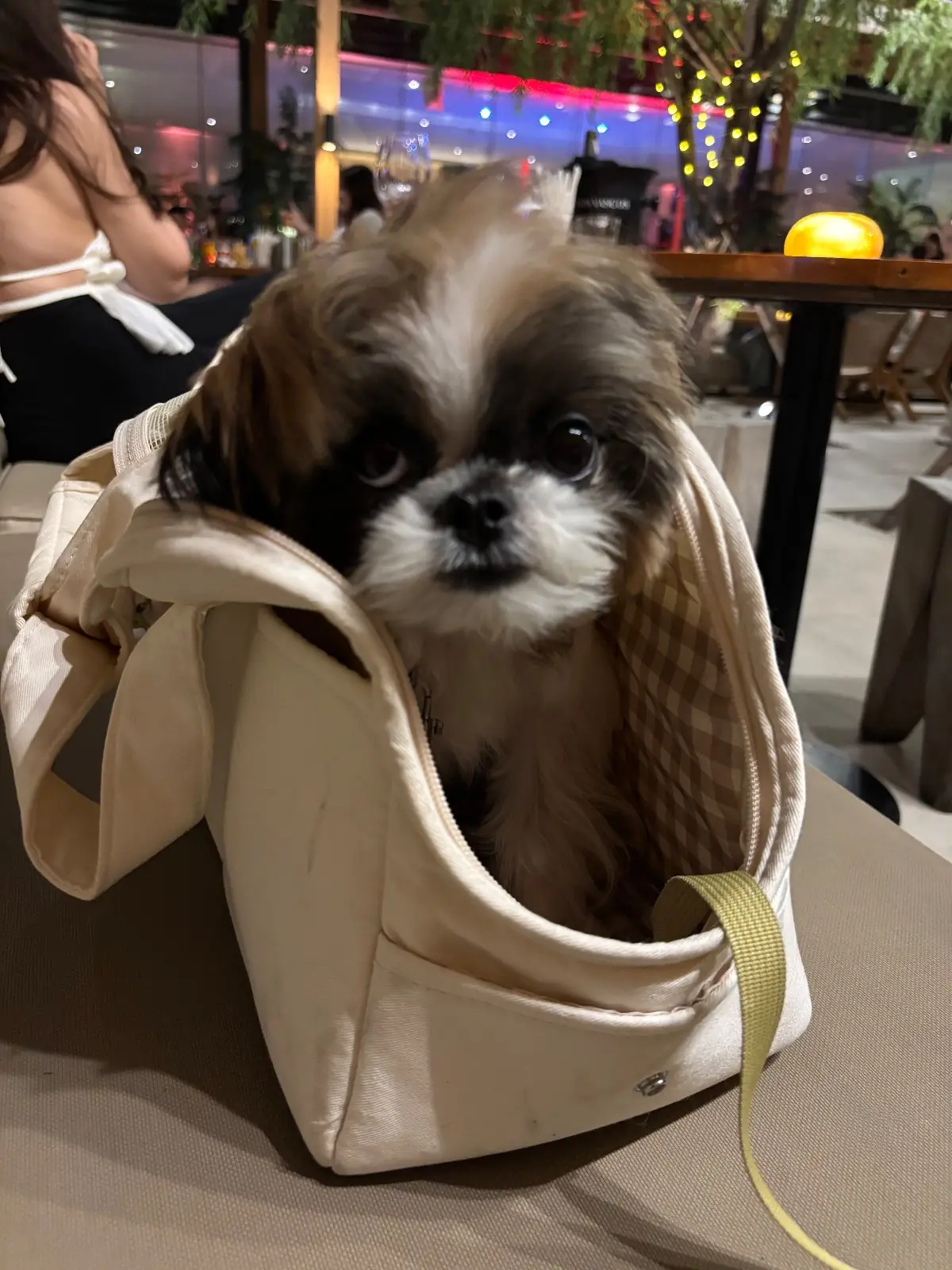 The Office other image 1