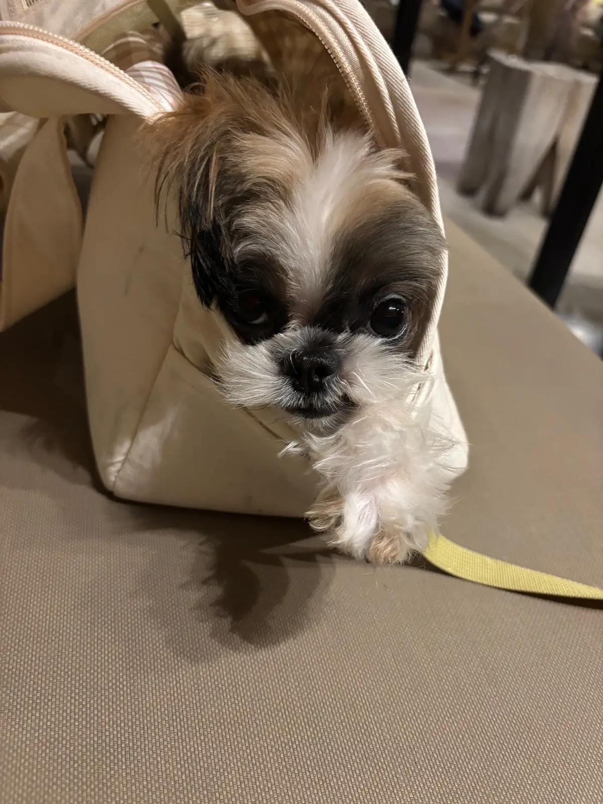 The Office other image 2