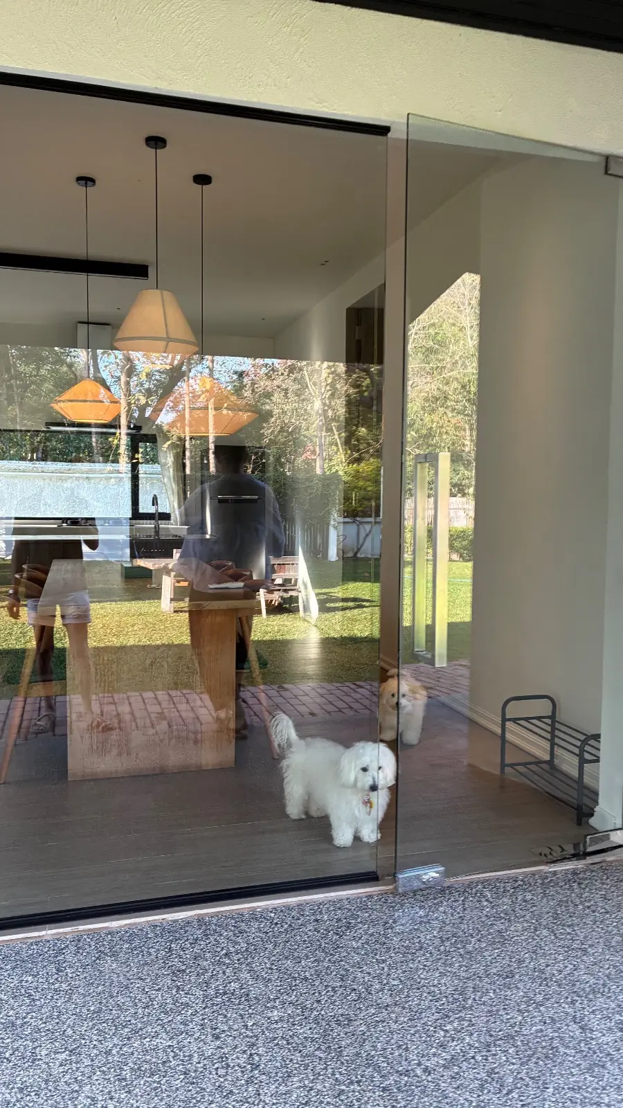 vanabu garden stay pets image 2