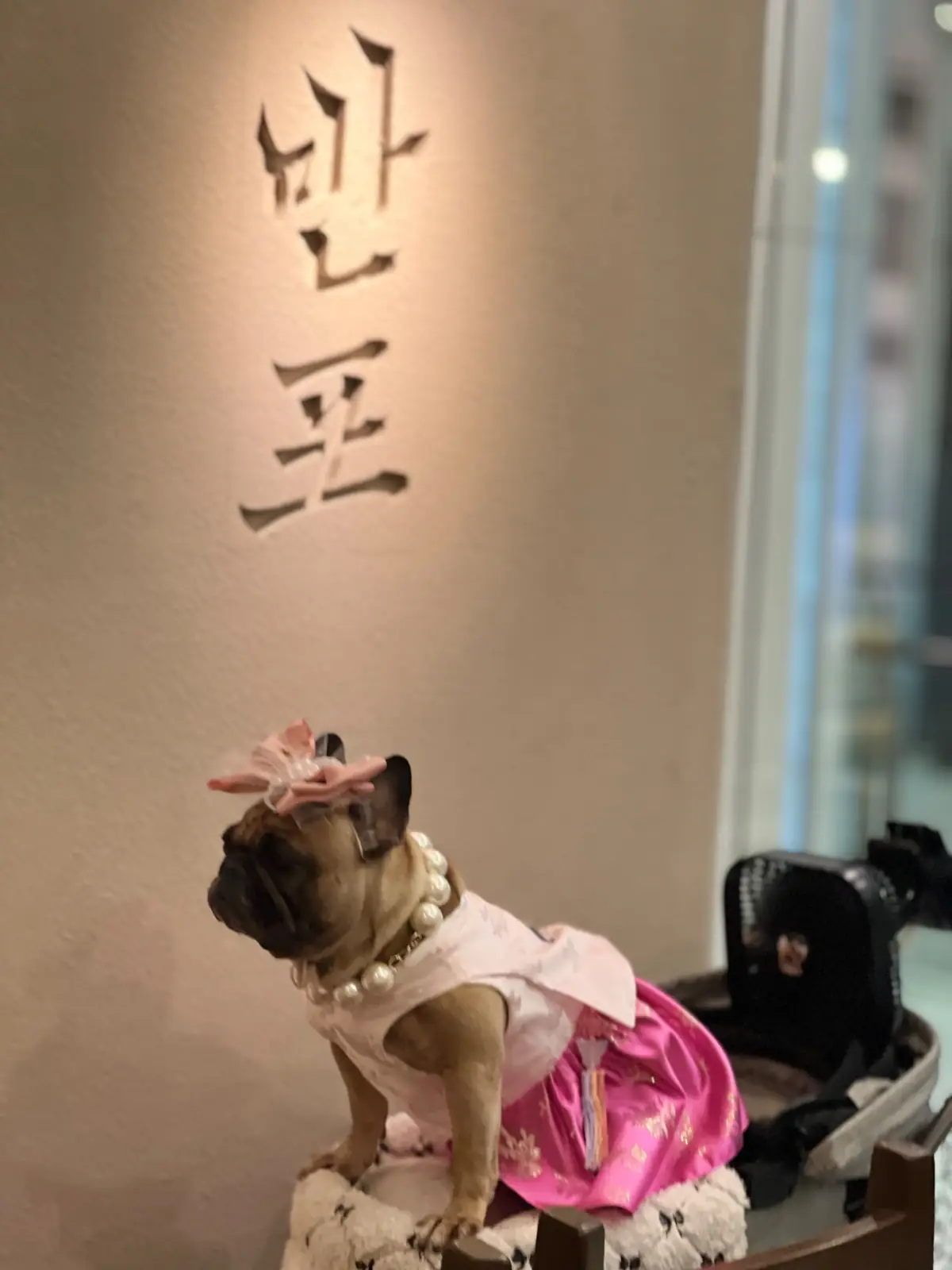 Banpo Korean BBQ - Ekkamai pets image 1