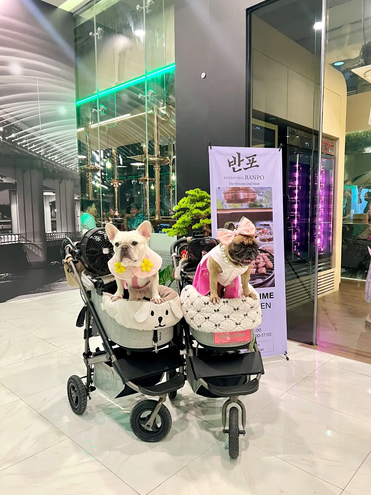 Banpo Korean BBQ - Ekkamai pets image 2