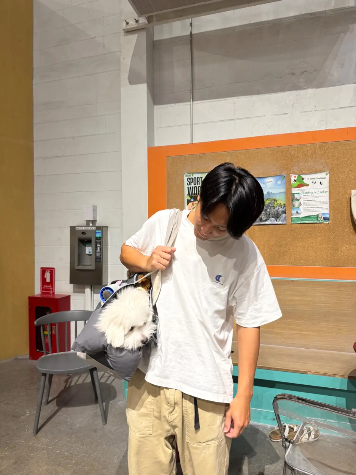 Stonegoat Climbing Gym pets image 1