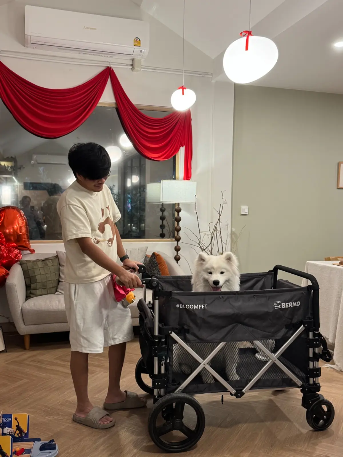 Simply Southern อาหารใต้ครัวระนอง pets image 4