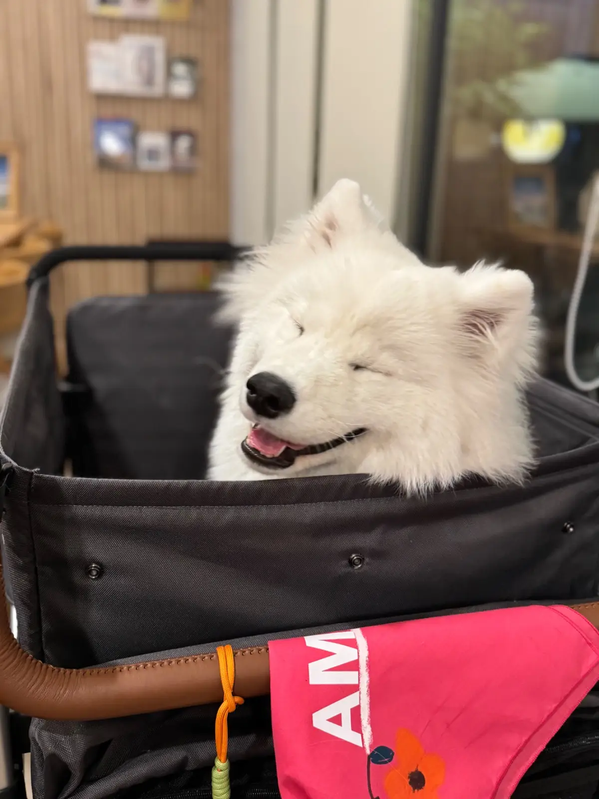 Simply Southern อาหารใต้ครัวระนอง pets image 1