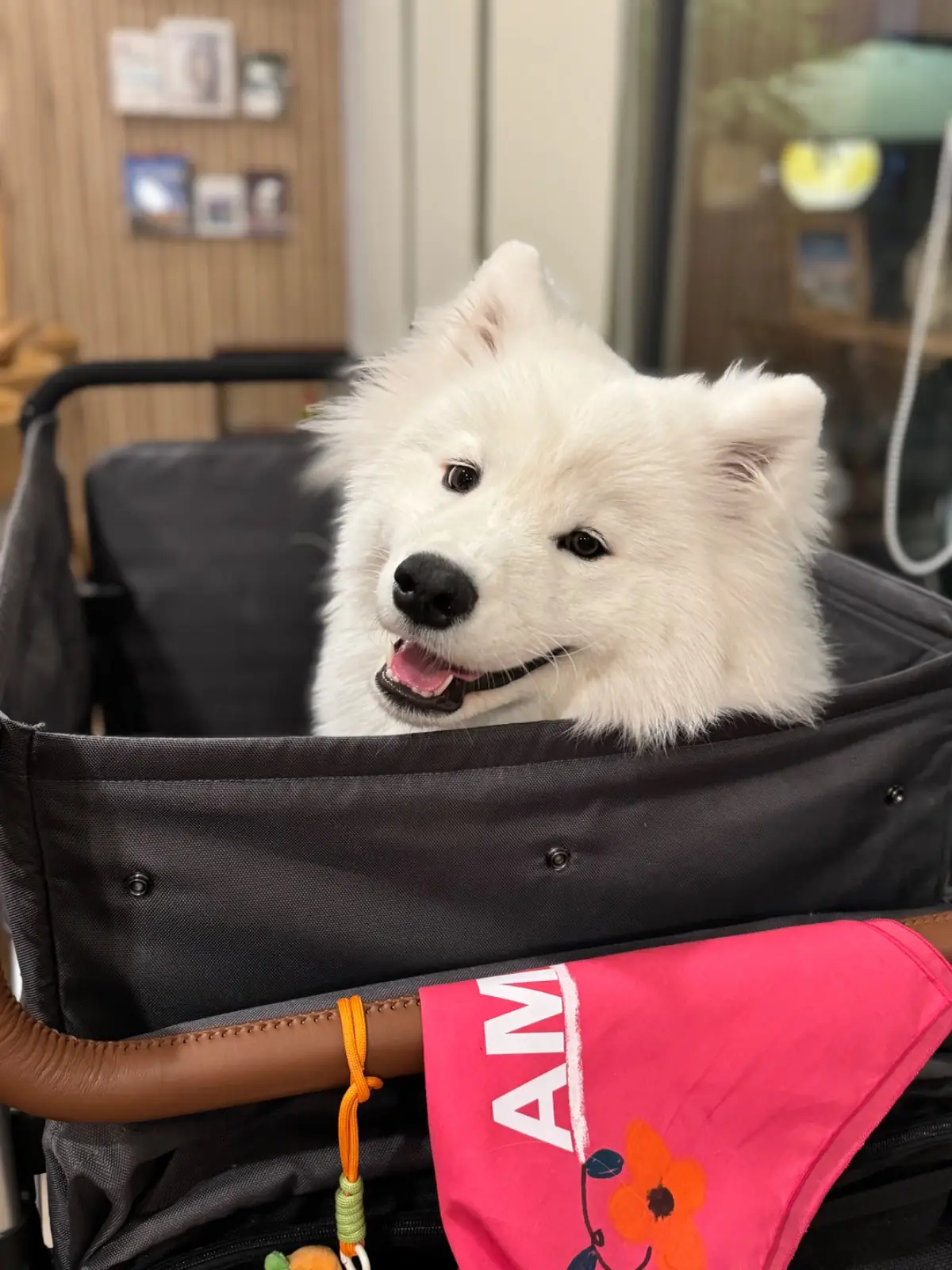 Simply Southern อาหารใต้ครัวระนอง pets image 2