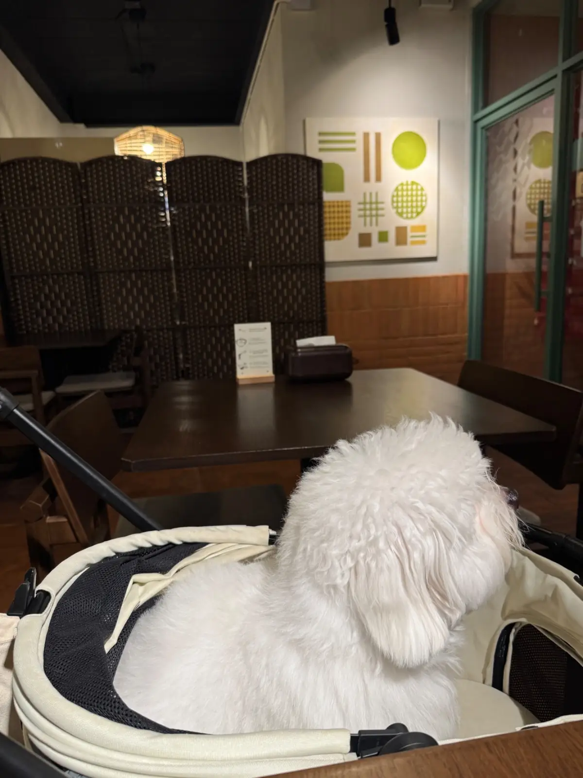 อุบล อุดอน pets image 1