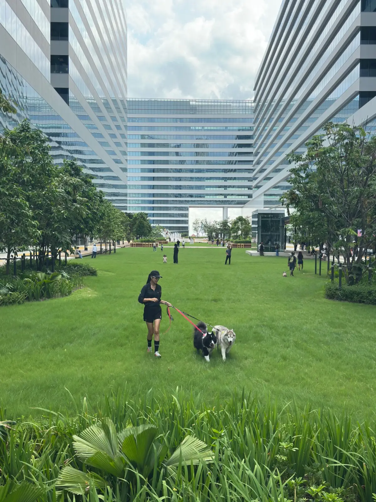 คลาวด์ 11 overall image 1